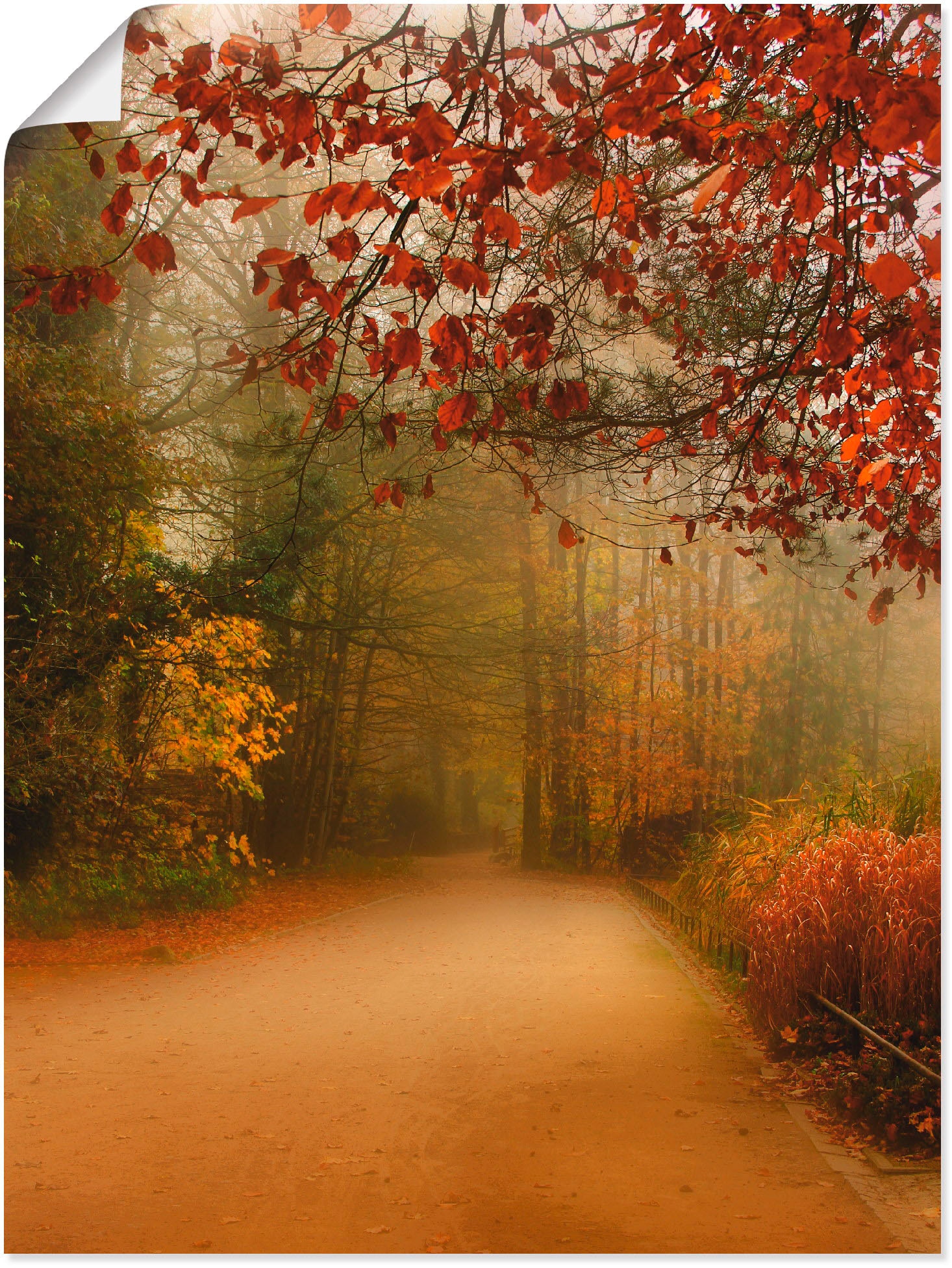 Artland Wandbild »Herbst im Park«, auf Vier Größen Leinwandbild, in Wandaufkleber versch. Raten (1 als Jahreszeiten, oder St.), bestellen Poster