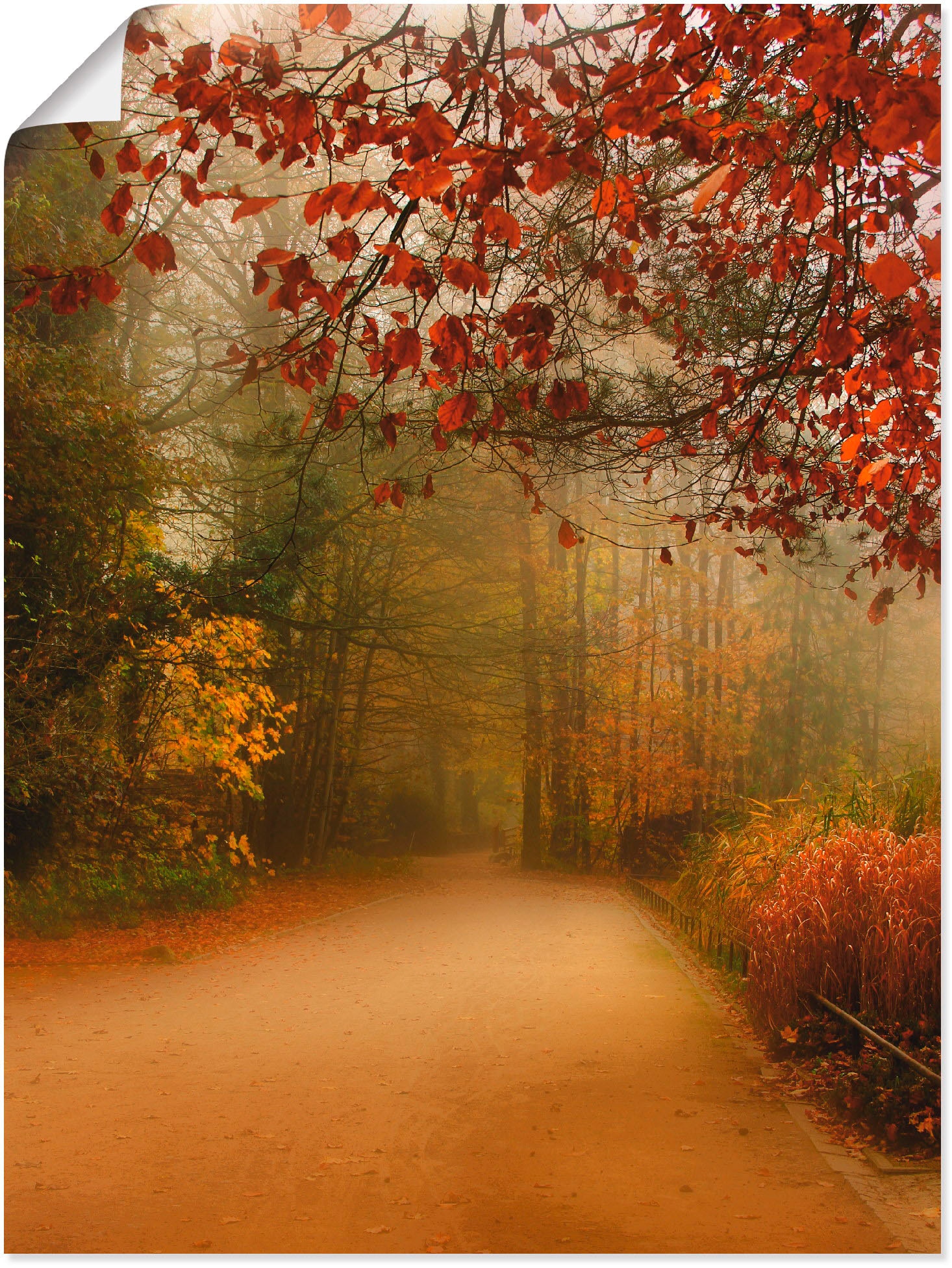 Größen im oder Vier versch. Wandaufkleber Wandbild bestellen Poster Park«, in auf Jahreszeiten, (1 als Raten »Herbst Artland Leinwandbild, St.),