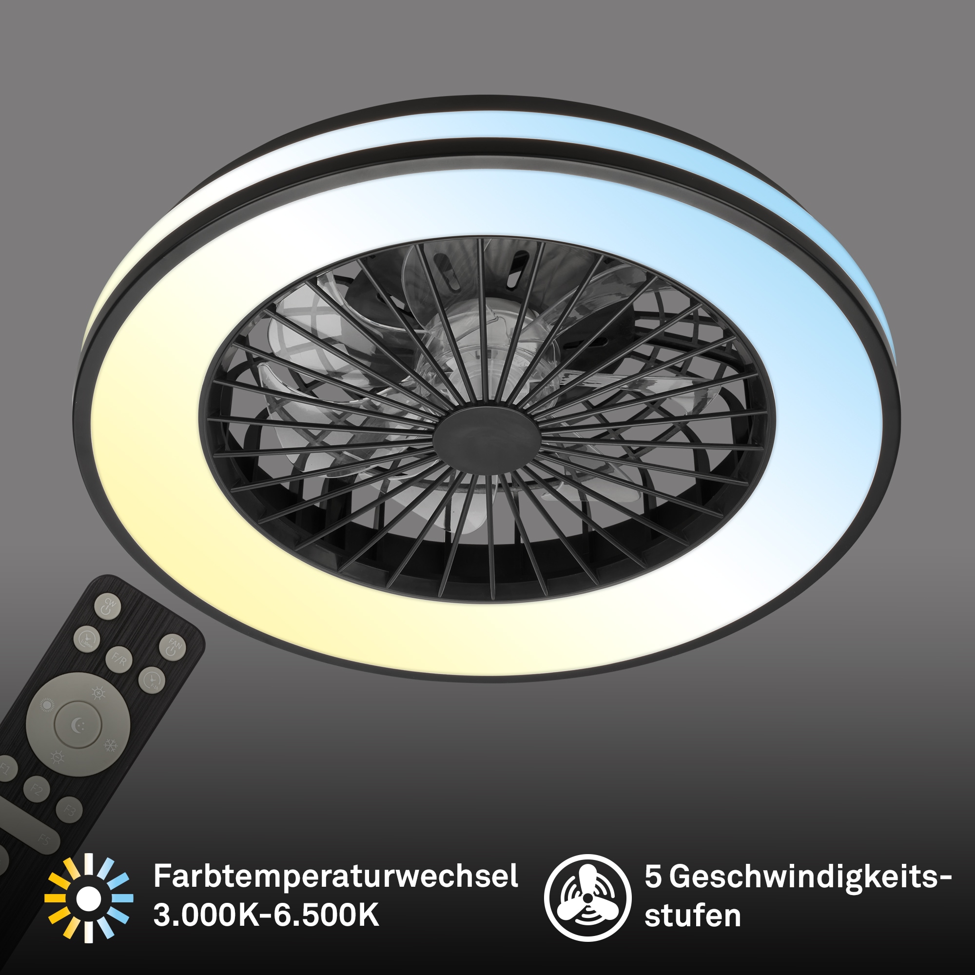 my home Deckenleuchte »CCT Deckenleuchte mit Ventilator«, 1 flammig, Decken günstig online kaufen