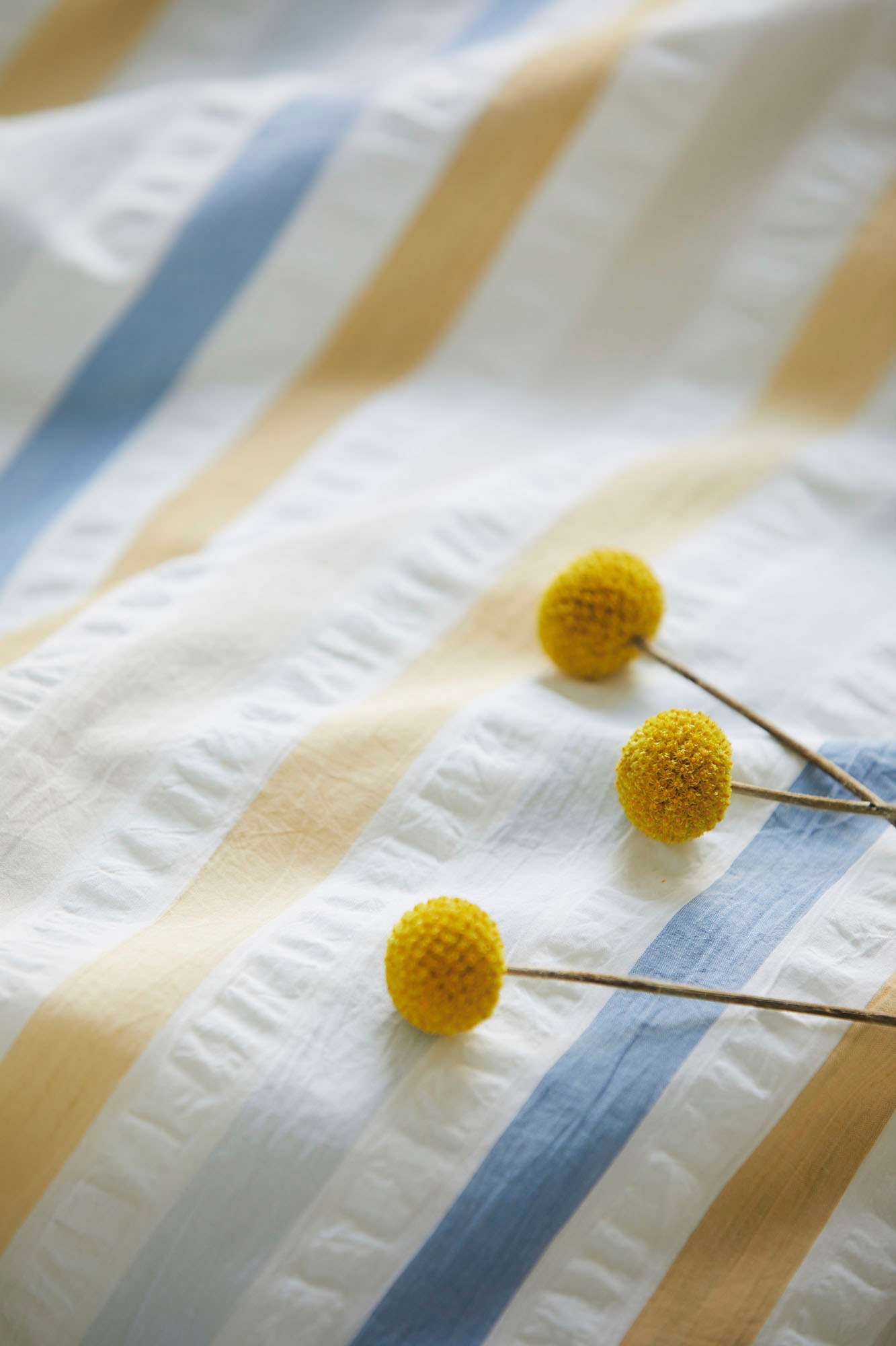 Elegante Bettwäsche »Pajamas«, angenehmes Hautgefühl
