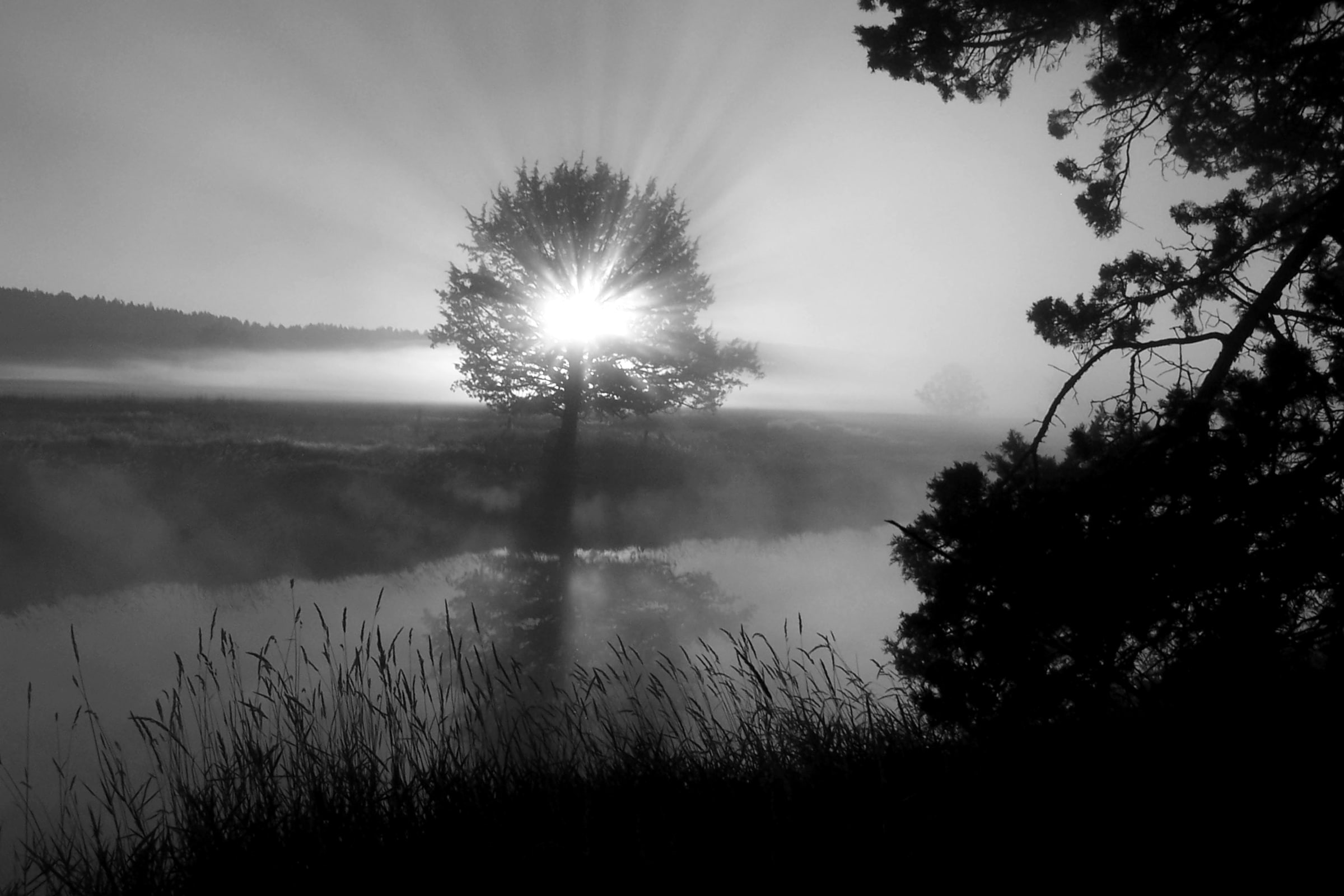 Papermoon Fototapete »Landschaft schwarz & weiß« günstig online kaufen