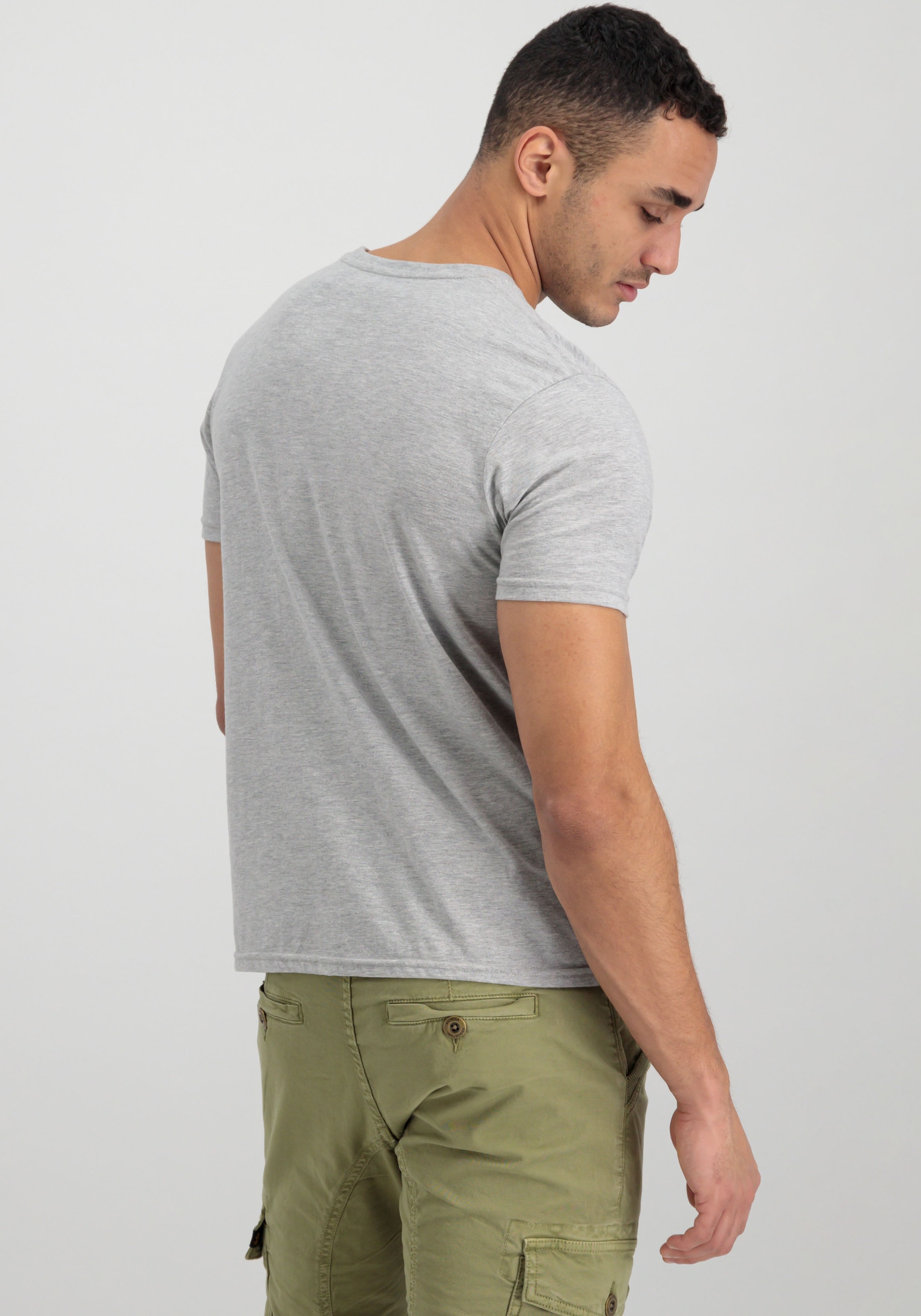 Alpha Industries Rundhalsshirt »Basic T 2 Pack«, (Set, 2 tlg.)