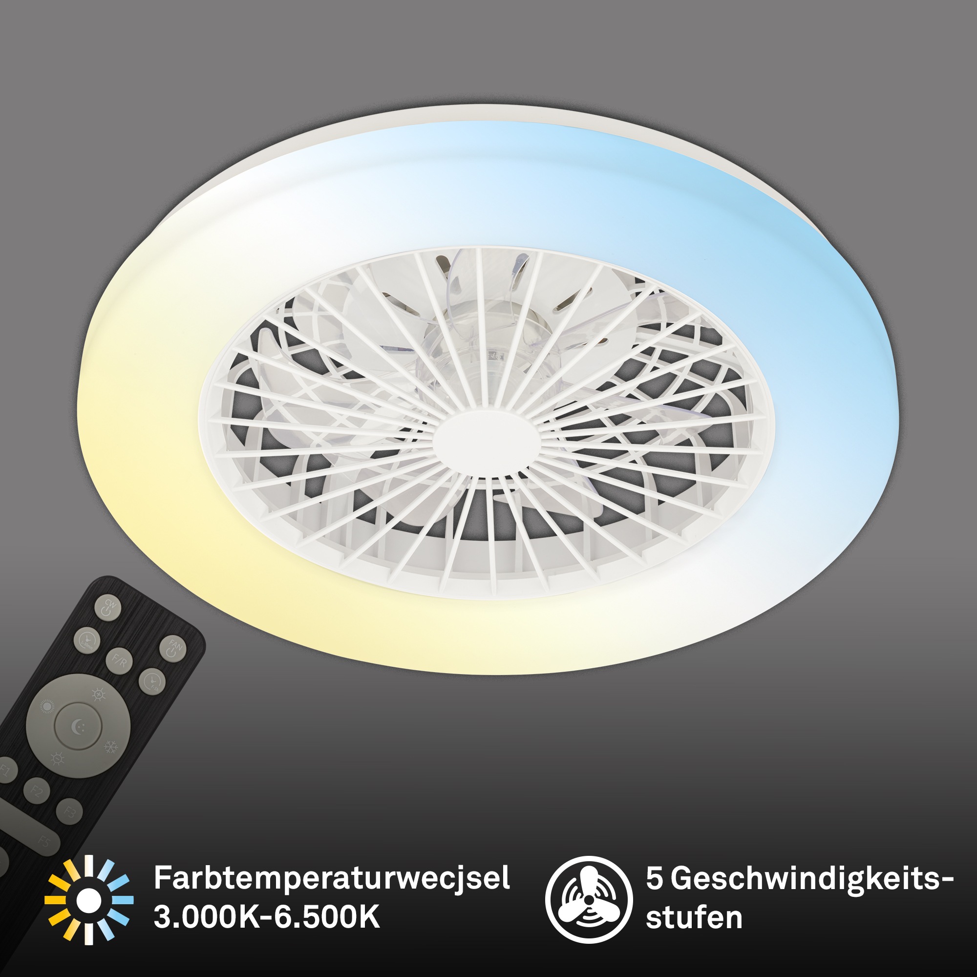 my home Deckenleuchte »CCT Deckenleuchte mit Ventilator«, 1 flammig, Decken günstig online kaufen