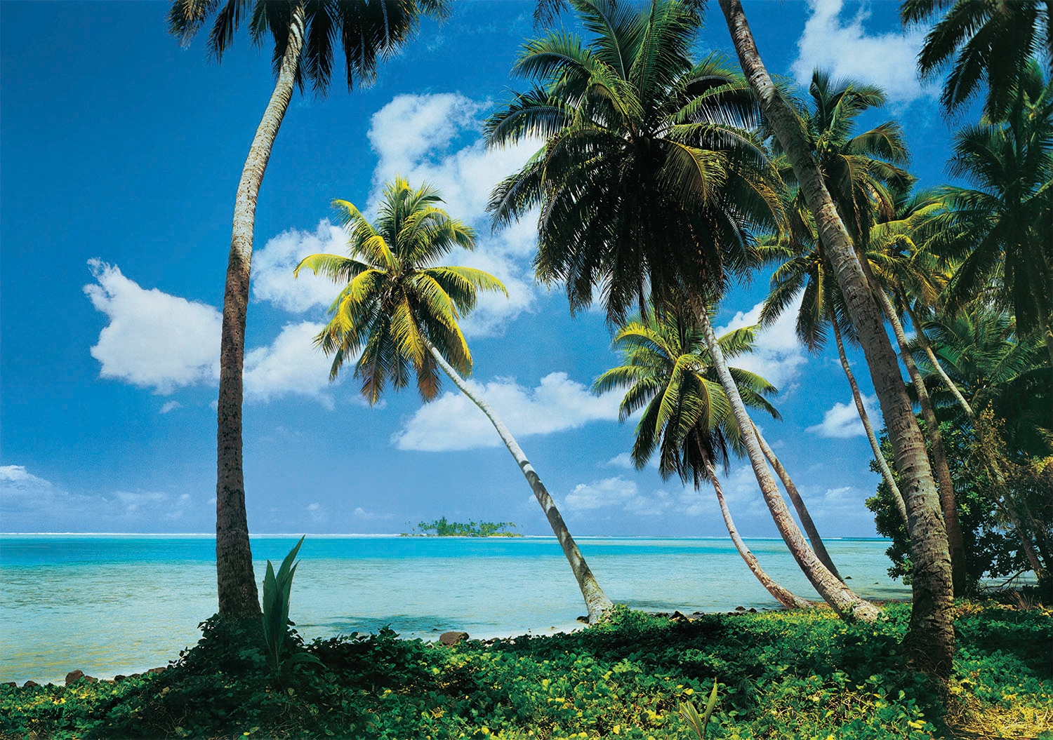Papermoon Fototapete »Tahiti« glatt günstig online kaufen