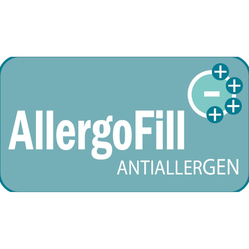 Centa-Star Microfaserbettdecke »AllergoProtect«, warm, Bezug 100% Baumwolle, (1 St.)