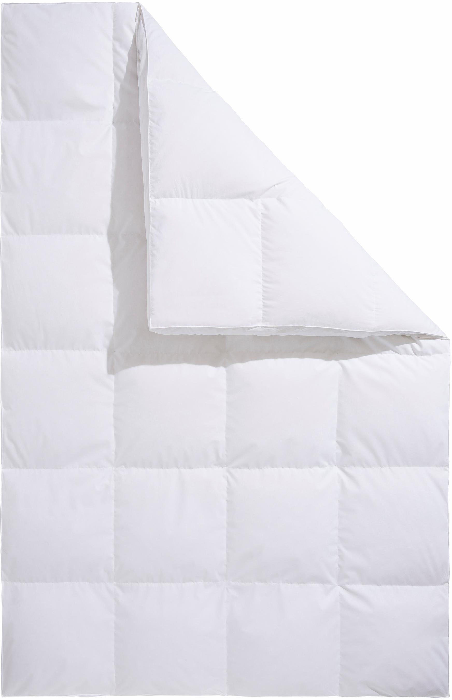 Älgdröm Daunenbettdecke + 3-Kammer-Kopfkissen »Lasse, Bettdecke 135x200 cm, günstig online kaufen