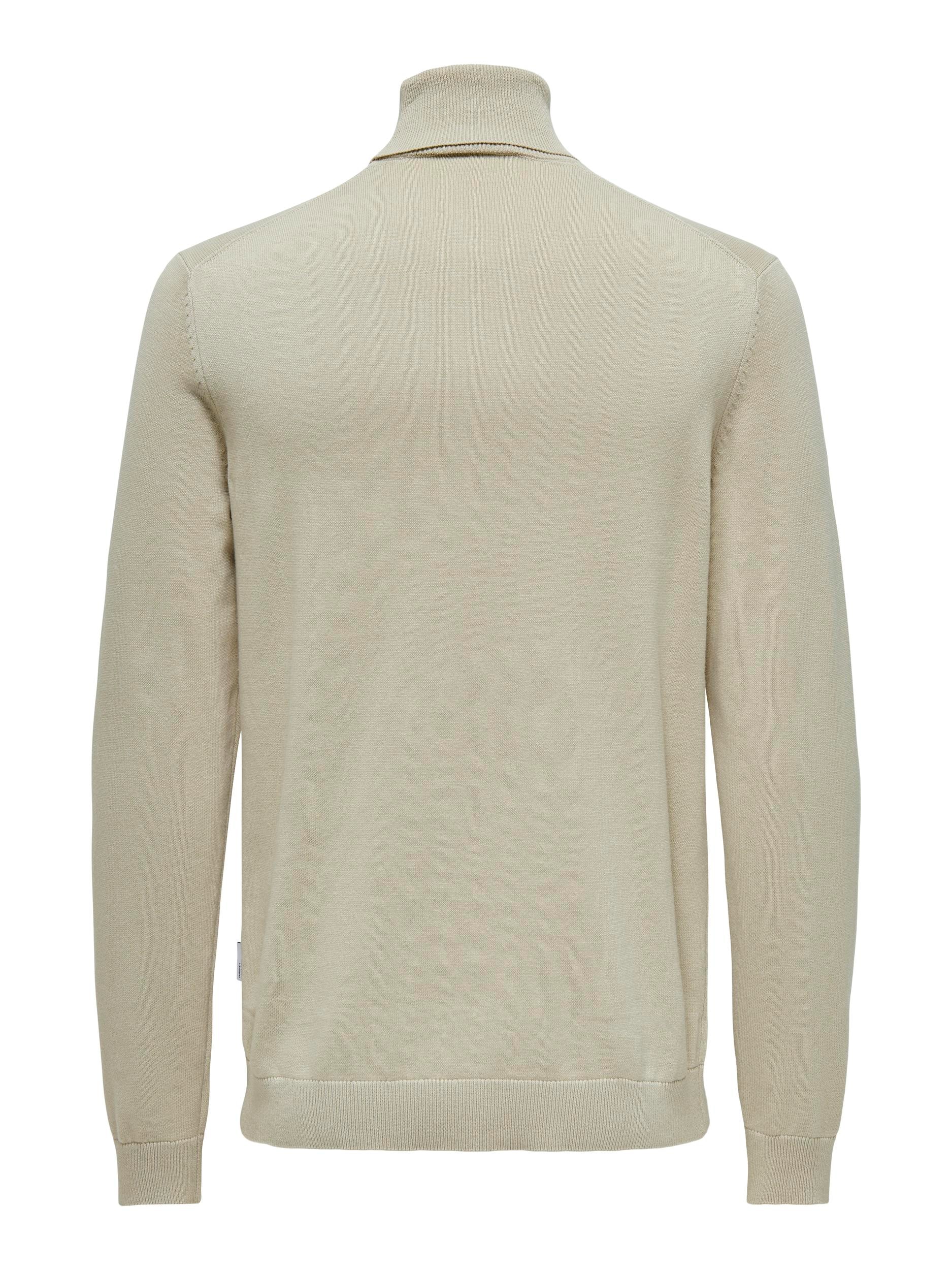 ONLY & SONS Rollkragenpullover »ONSALEX REG 12 ROLL KNIT«