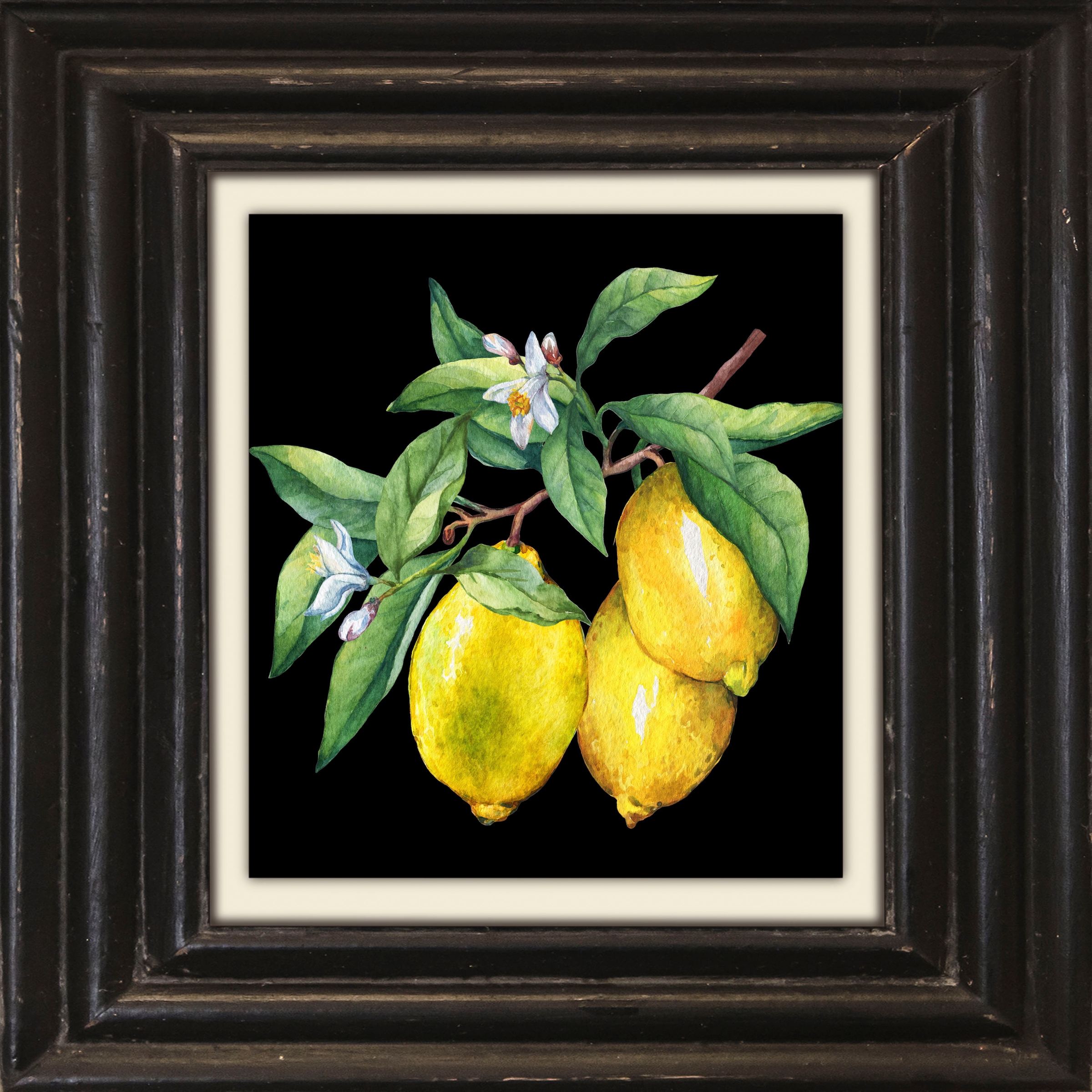 queence Leinwandbild »Zitronen«, Kunst-Obst-Stillleben-Obst Bilder, Premium günstig online kaufen