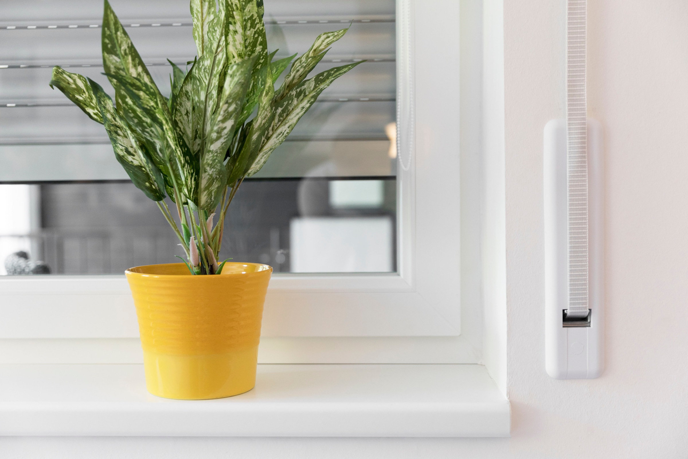 SCHELLENBERG Gurtwickler-Abdeckplatte »Duo Maxi« Set, 1 Stk. tlg. Rollladengurtabdeckung Lochabstand 18,5 oder 21,5 cm