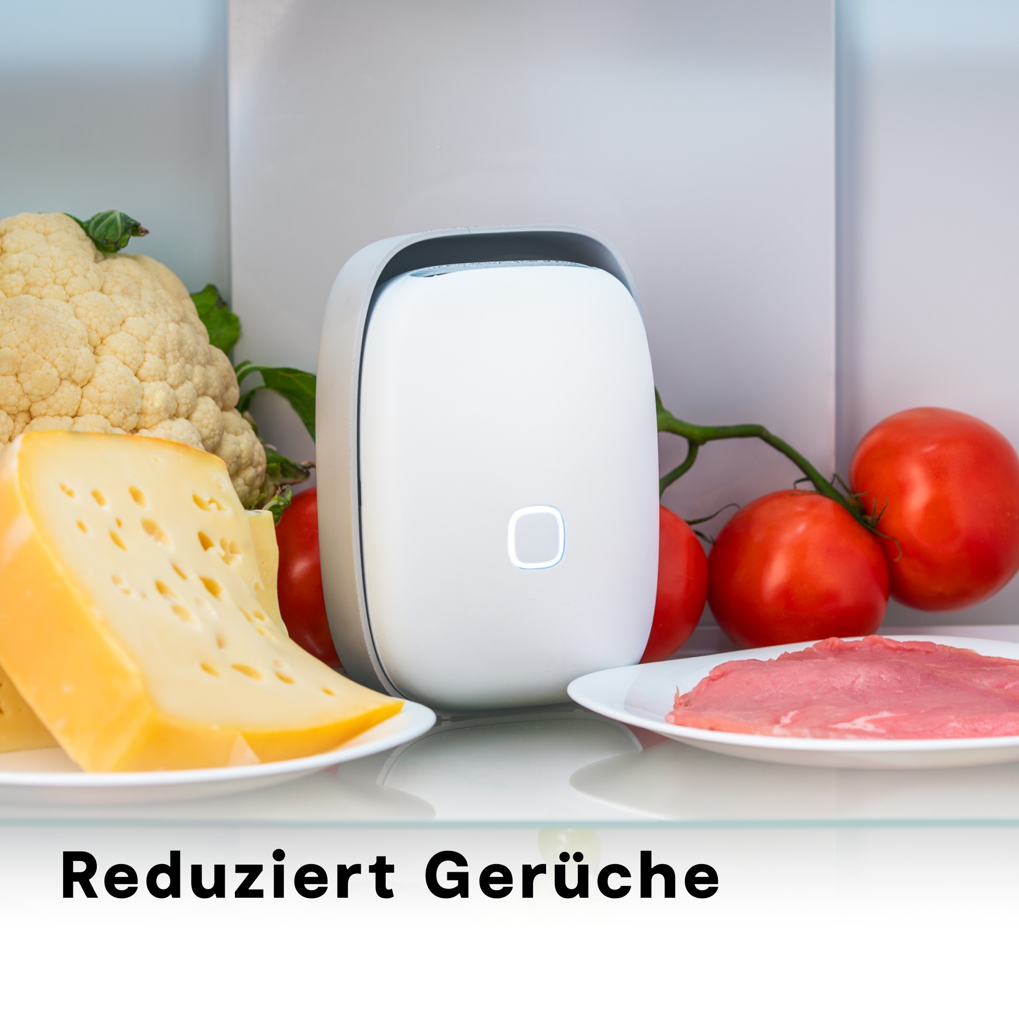Vitesy Luftreiniger »Shelfy – Smarte Frischeverlängerung für deinen Kühlschrank«, reduzierte Bakterien, verlängert Haltbarkeit, gegen Schimmel