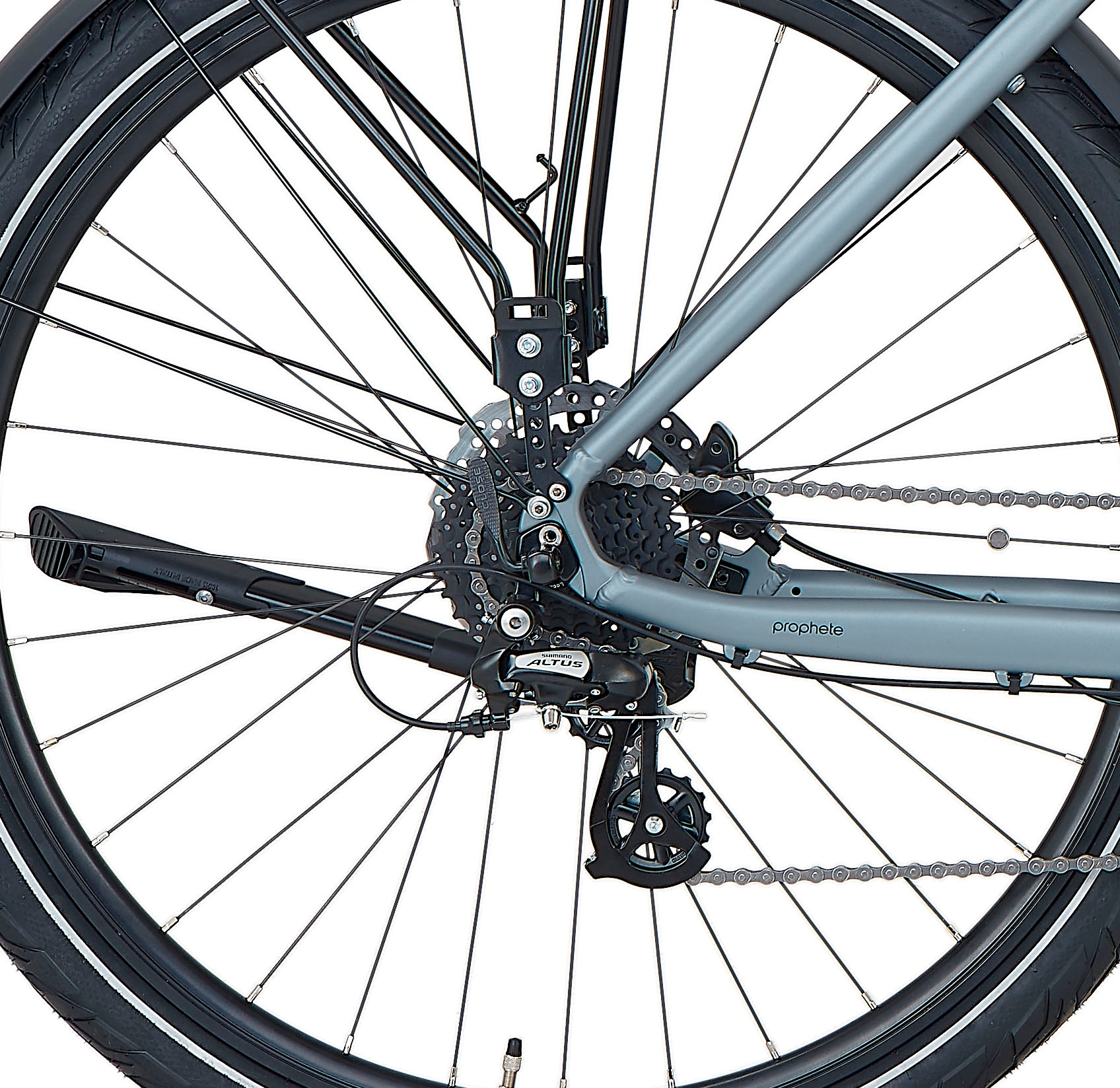 Prophete E-Bike »Entdecker 3.8«, 8 Gang, Shimano, Altus, Mittelmotor 250 W