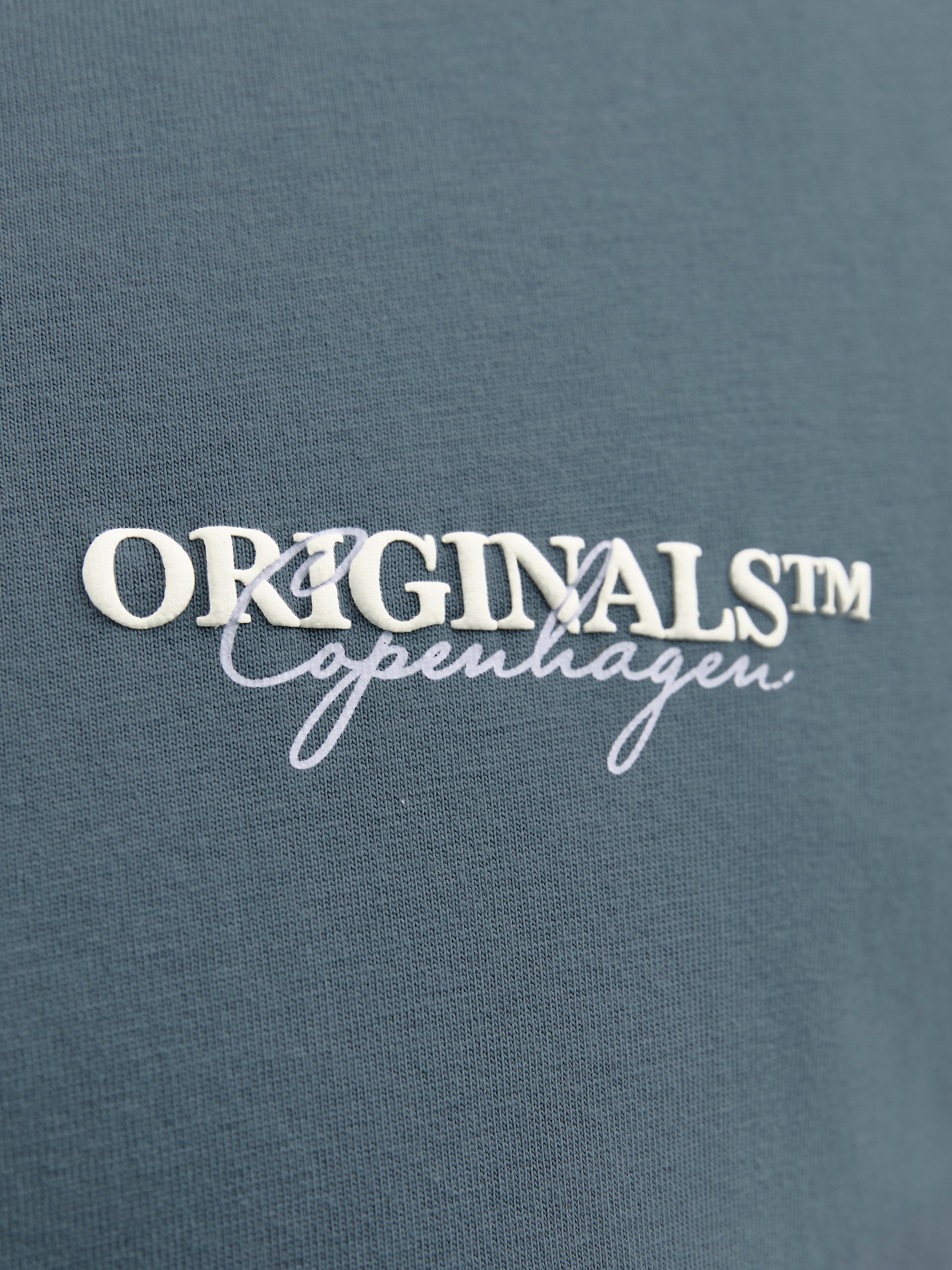 Jack & Jones PlusSize Kurzarmshirt »JORISLINGTON TYPE TEE SS CREW NECK PLS«