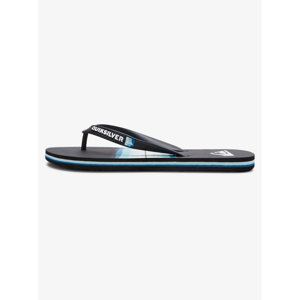 Quiksilver Sandale »Molokai Resin Tint«