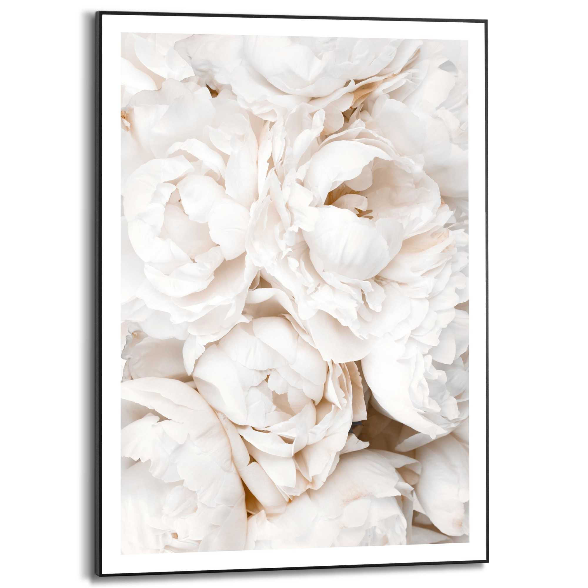 Reinders! Bild mit Rahmen »White Roses«