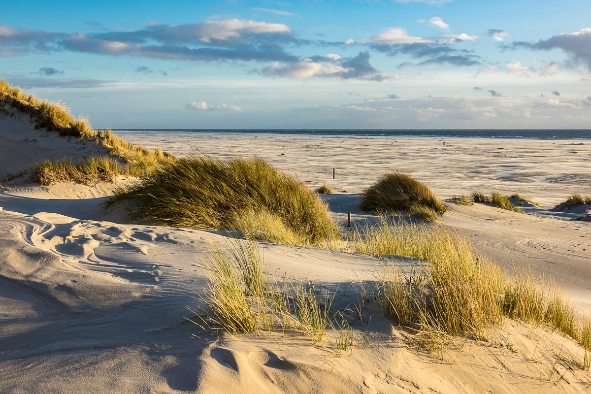 Papermoon Fototapete »DÜNEN-AMRUM NORDSEE STRAND MEER INSEL HOLSTEIN GRAS X günstig online kaufen