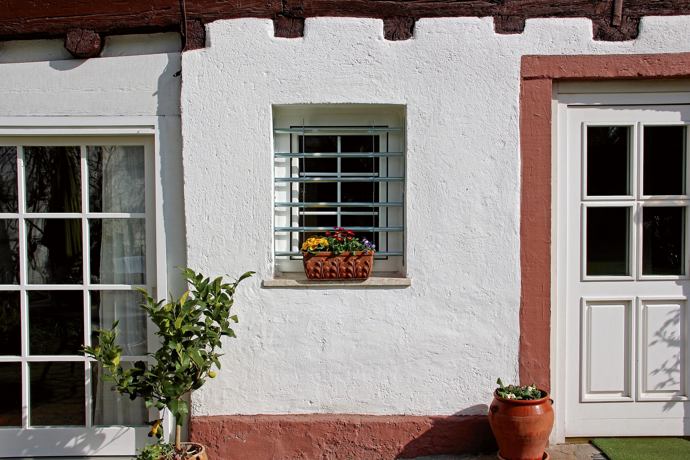 Alberts Fensterschutzgitter »Secorino Basic« Breite: 50 - 65 cm und 70 - 105 cm, Höhe: 30 und 45 cm