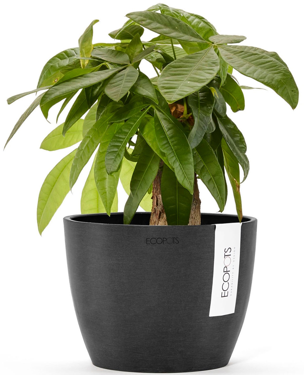 ECOPOTS Blumentopf »STOCKHOLM Dark Grey« BxTxH: 16x16x12,5 cm
