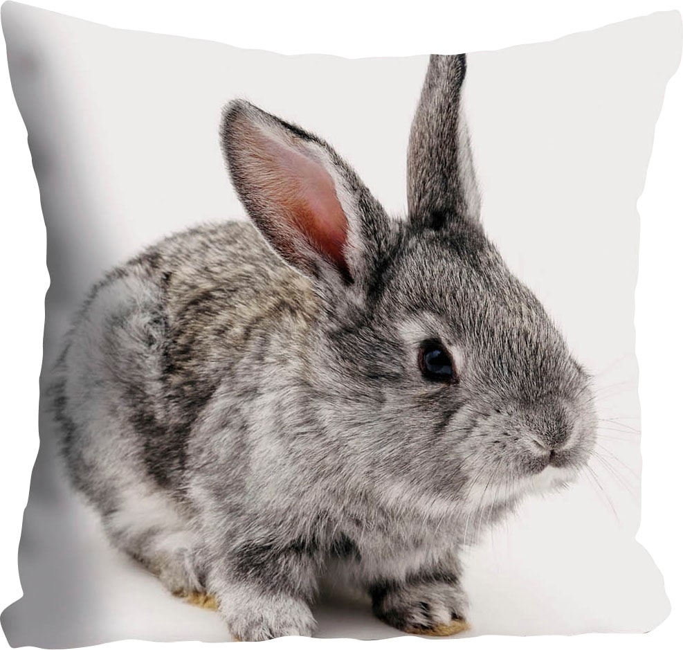 queence Dekokissen »Noel«, Kissenhülle,Kaninchen,Tiermotiv,Niedlich,Verspie günstig online kaufen