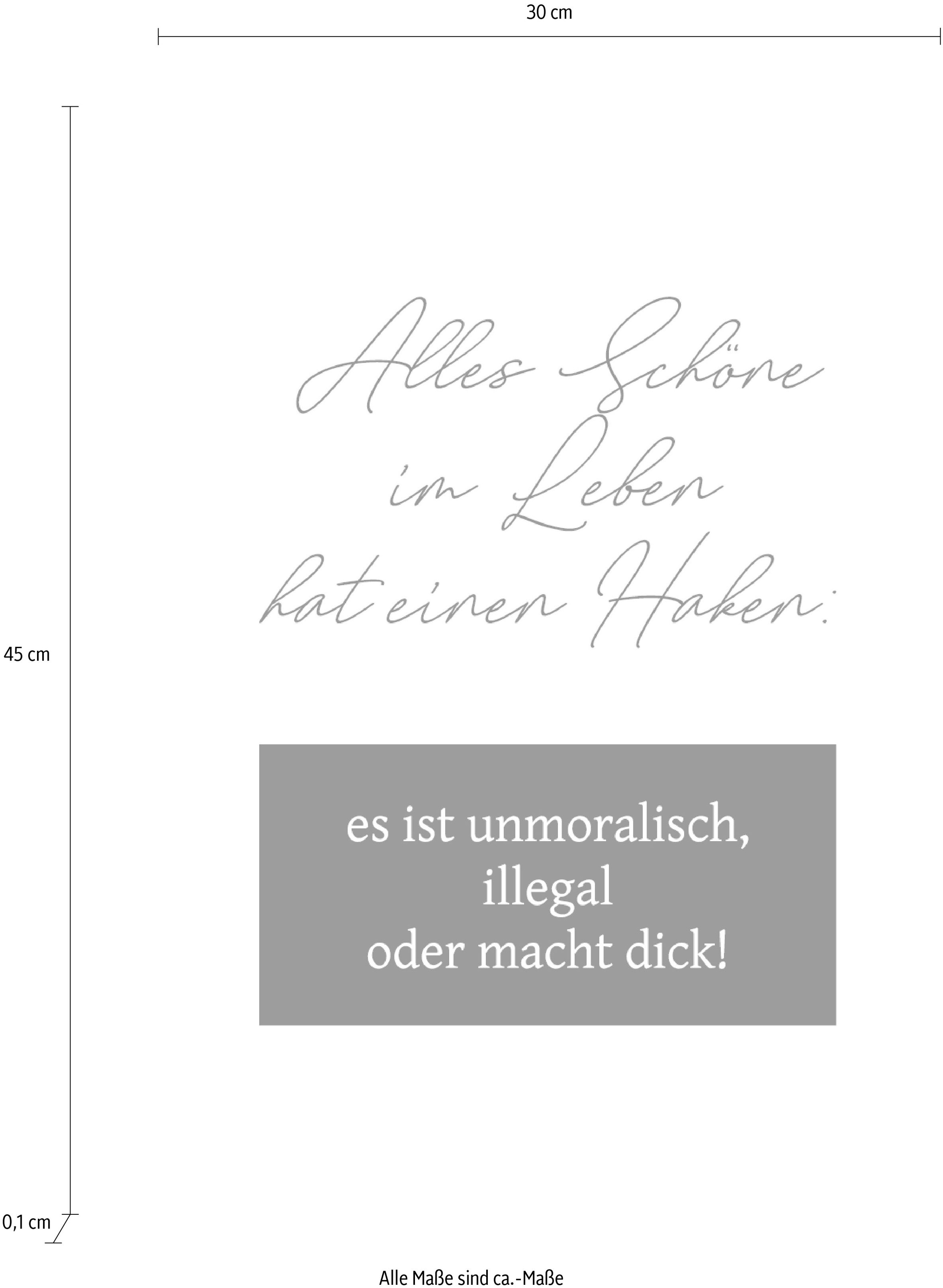 queence Wanddekoobjekt »Alles Schöne im Leben hat einen Haken: ...«, Stahlschild, Blechschild, Spruch, Witzig, Wanddeko, retro, 20x30cm