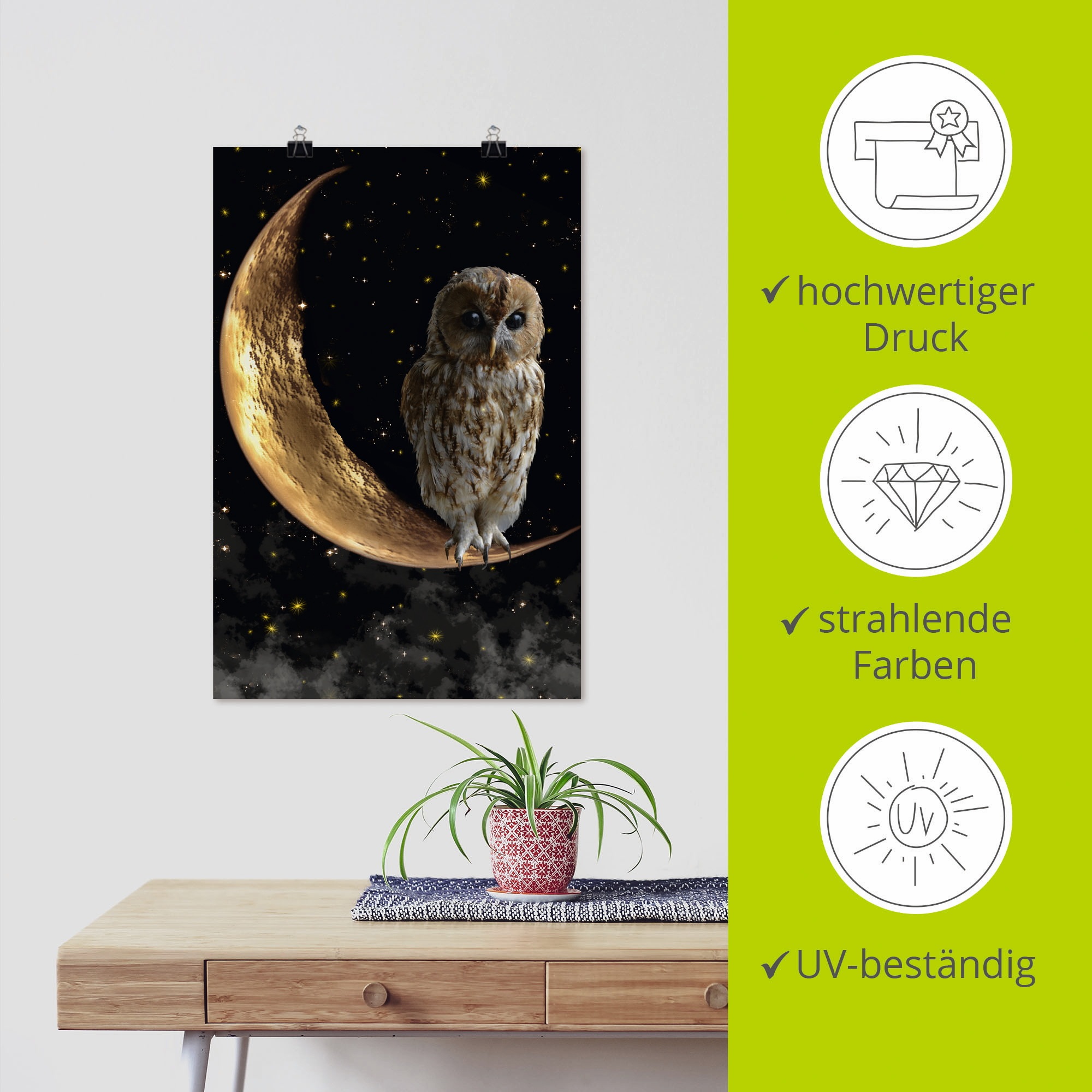 Artland Wandbild »Nachteule« Vögel 1 Stk. tlg. als Alubild, Outdoorbild, Leinwandbild, Poster in verschied. Größen