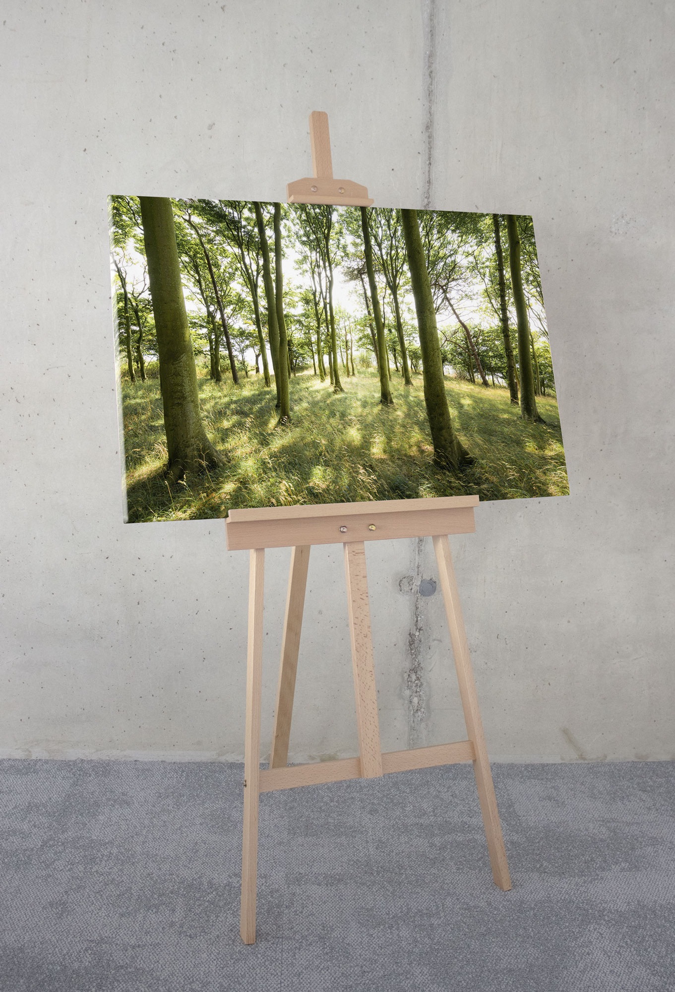 Komar Leinwandbild »Dänische Buchen - Größe 90 x 60 cm«, Baum-Blätter-Natur günstig online kaufen