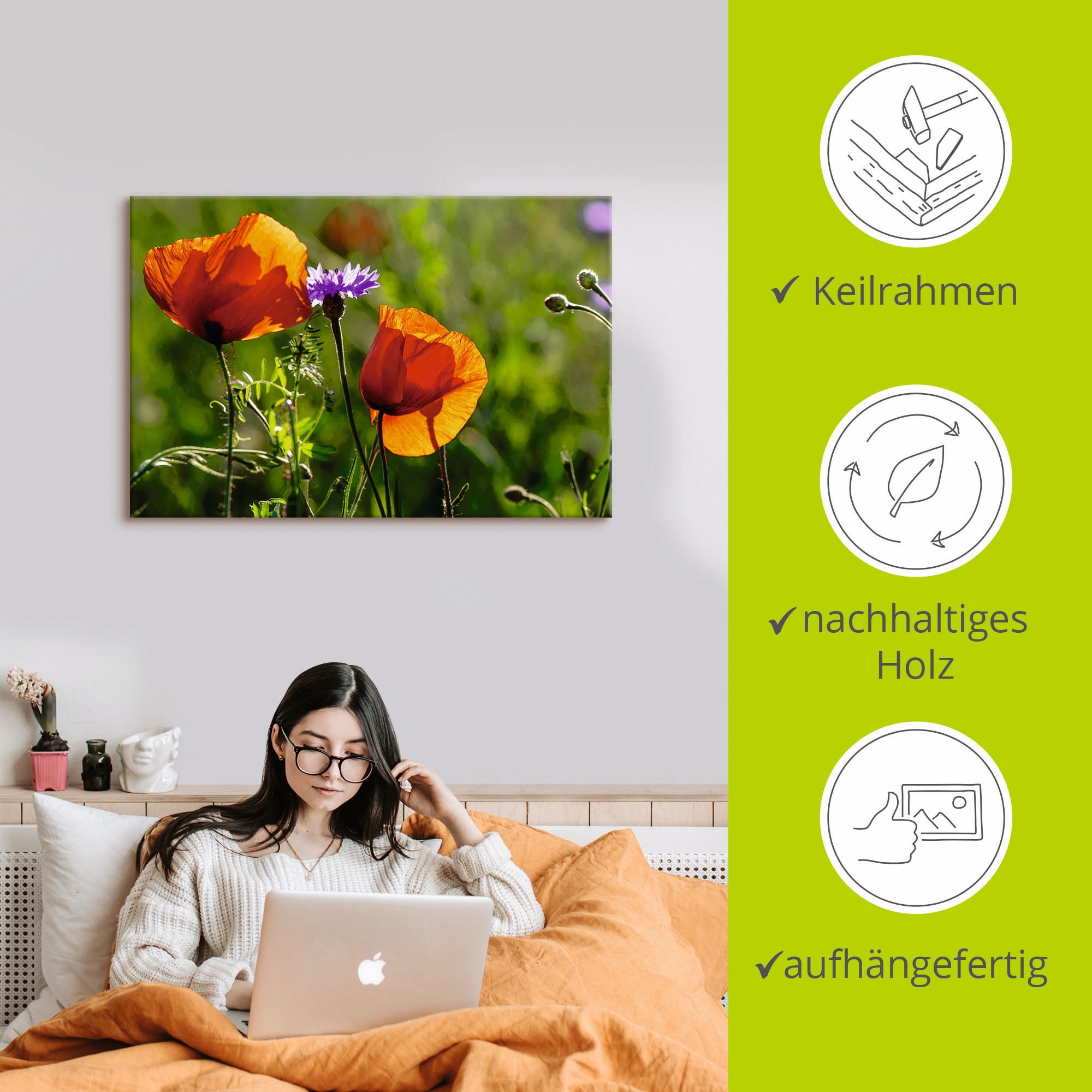 Artland Wandbild »Mohnblumen im Frühling«, Blumen, (1 St.), als Alubild, Outdoorbild, Leinwandbild in verschied. Größen
