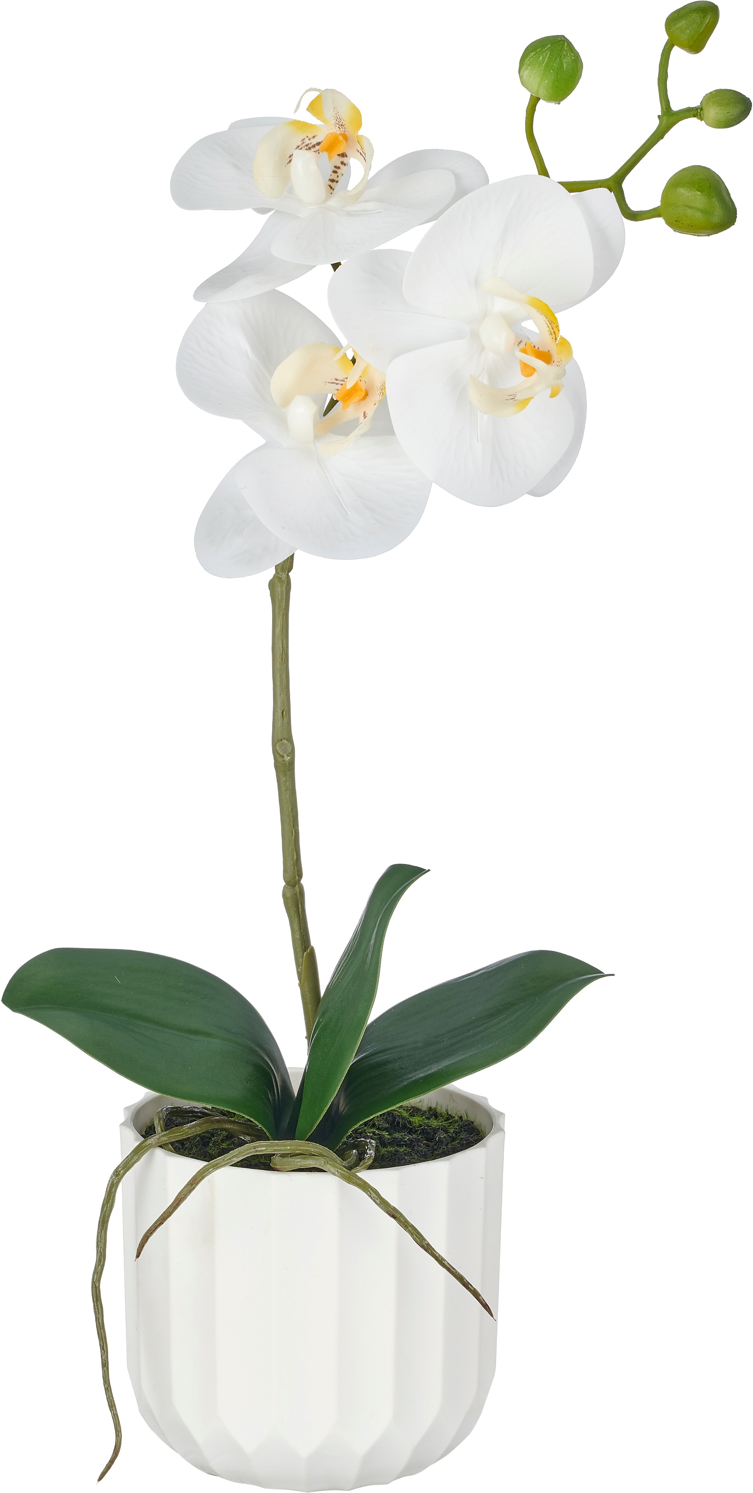 Creativ green Kunstorchidee »Phalaenopsis« im Design-Pflanzgefäß