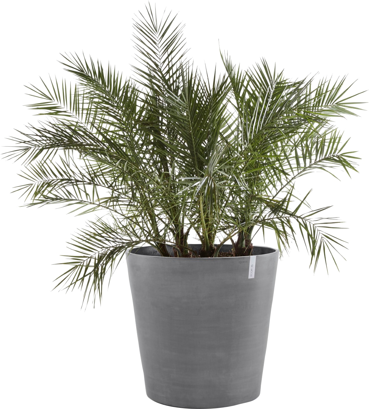 ECOPOTS Blumentopf »AMSTERDAM WHEELS Grey«, BxTxH: 60x60x56 cm