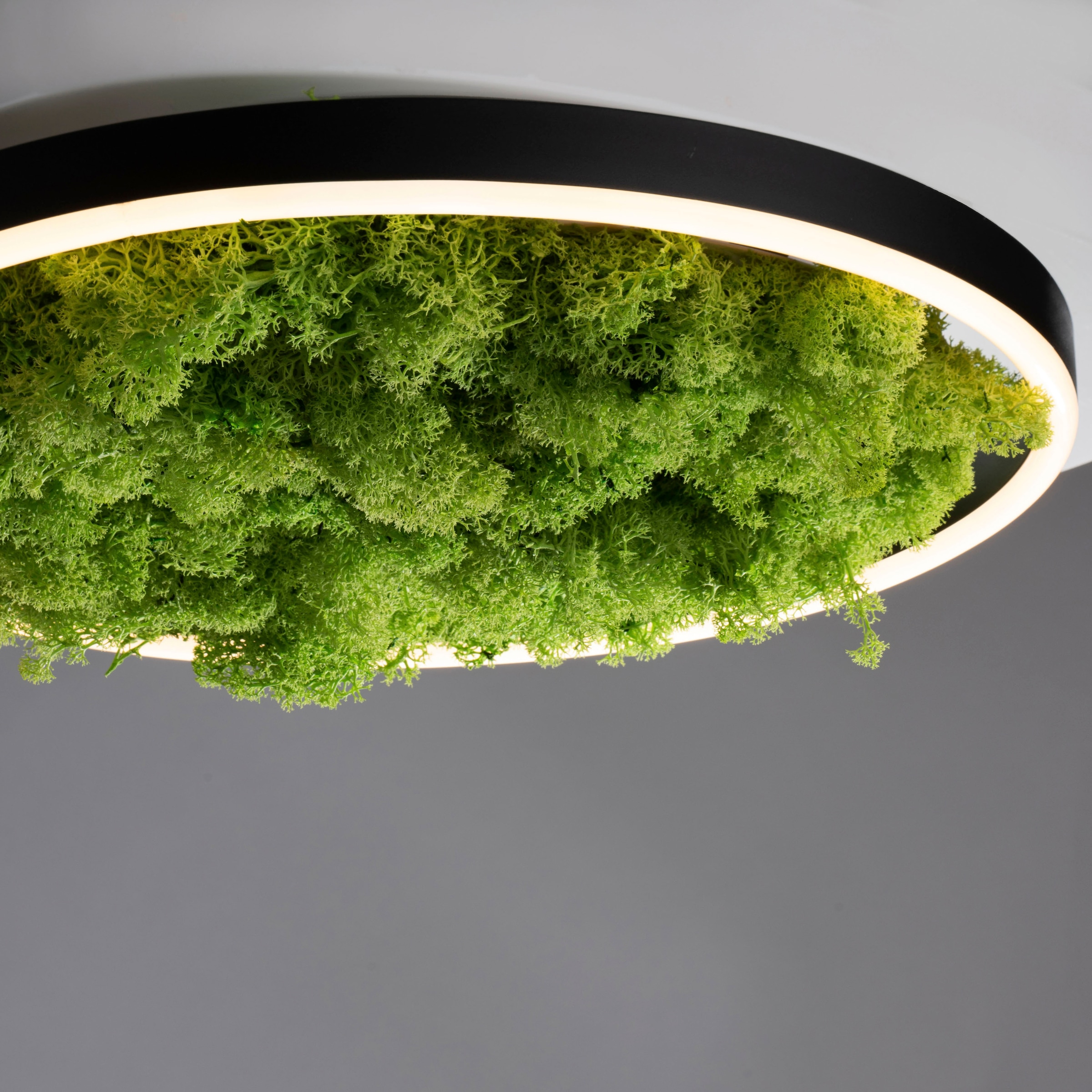 JUST LIGHT Deckenleuchte »GREEN RITU«, 1 flammig, Leuchtmittel LED-Board | LED fest integriert