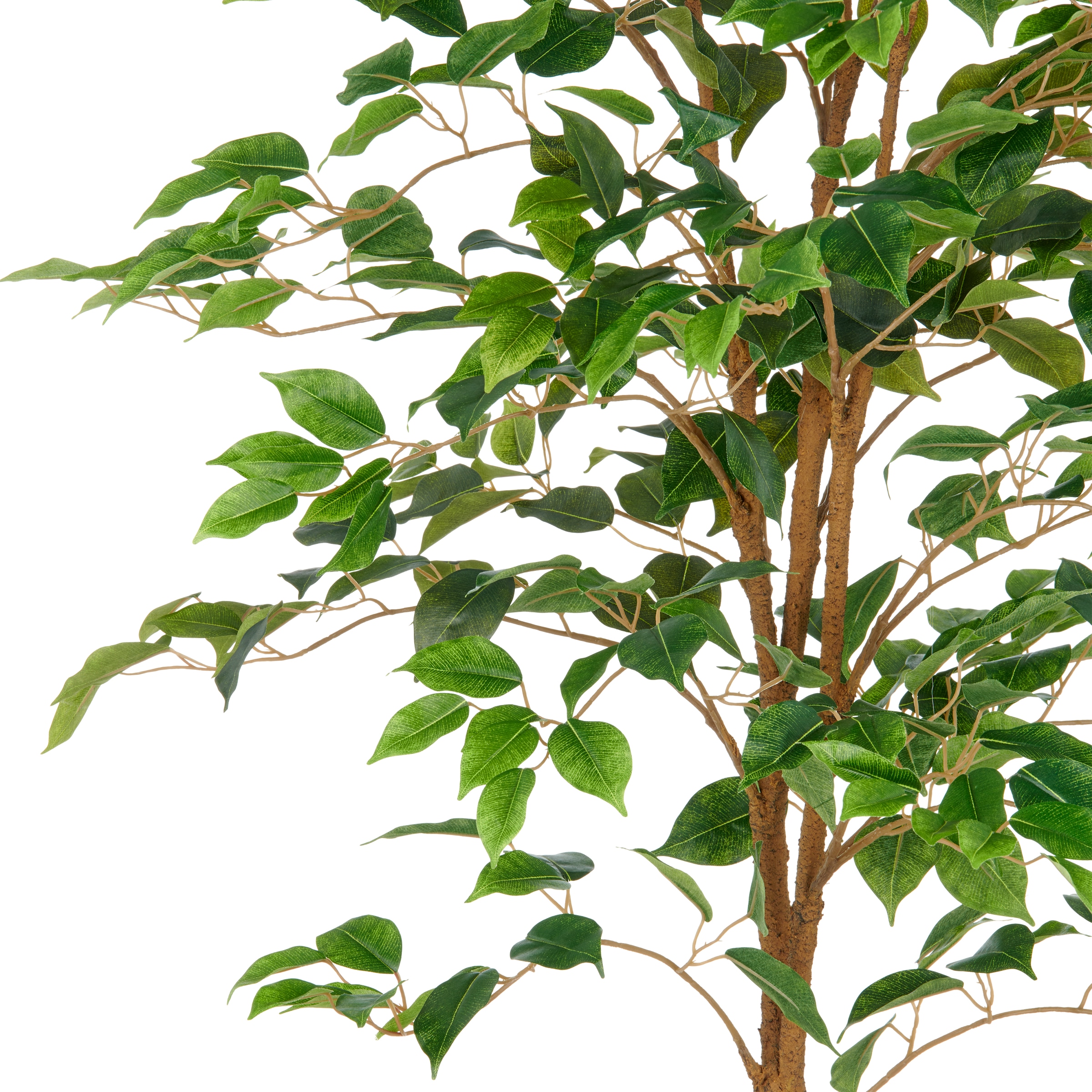 Creativ green Kunstbaum »Ficus Benjamina«, mit naturgetreuem Blattwerk und Stamm
