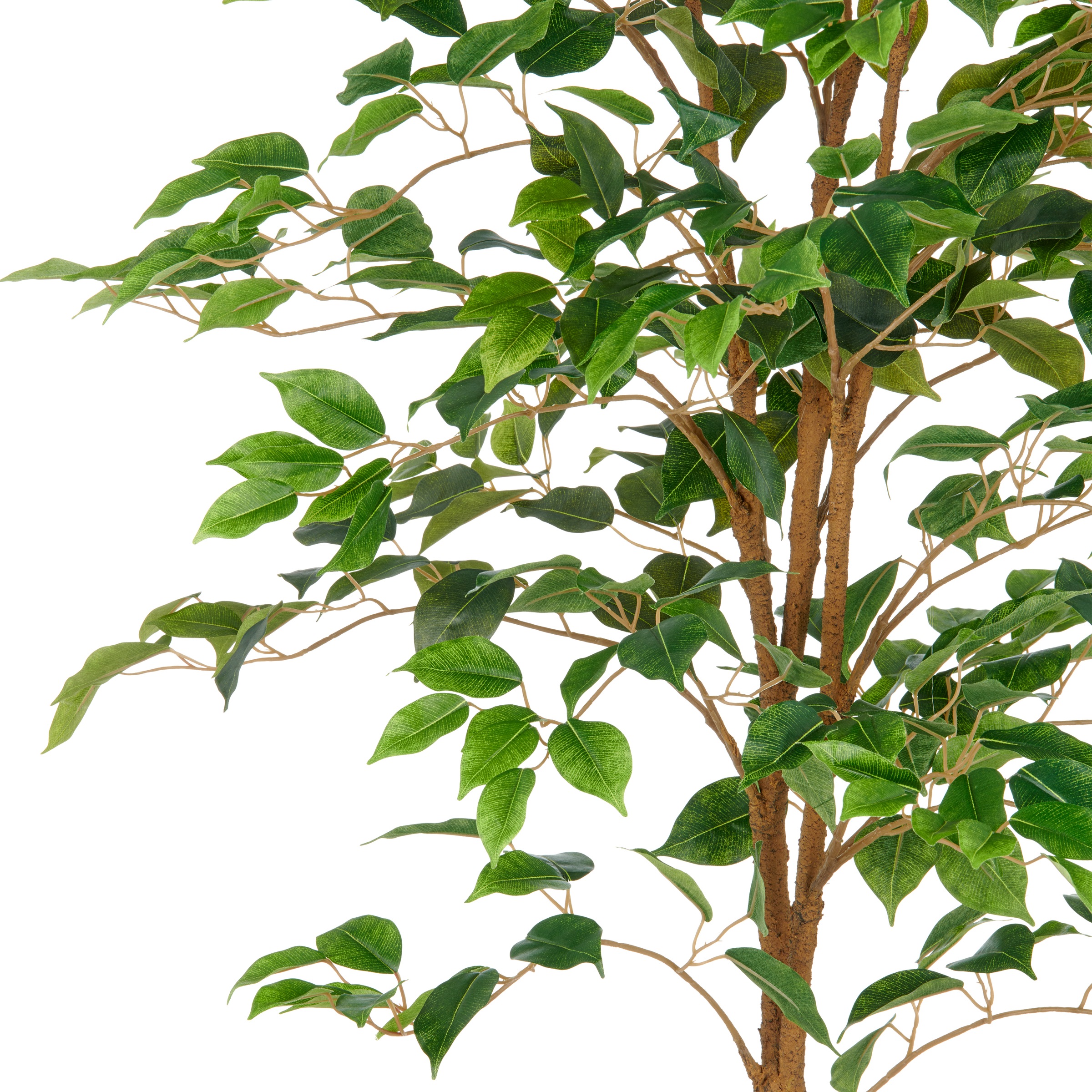 Creativ green Kunstbaum »Ficus Benjamina«, mit naturgetreuem Blattwerk und günstig online kaufen