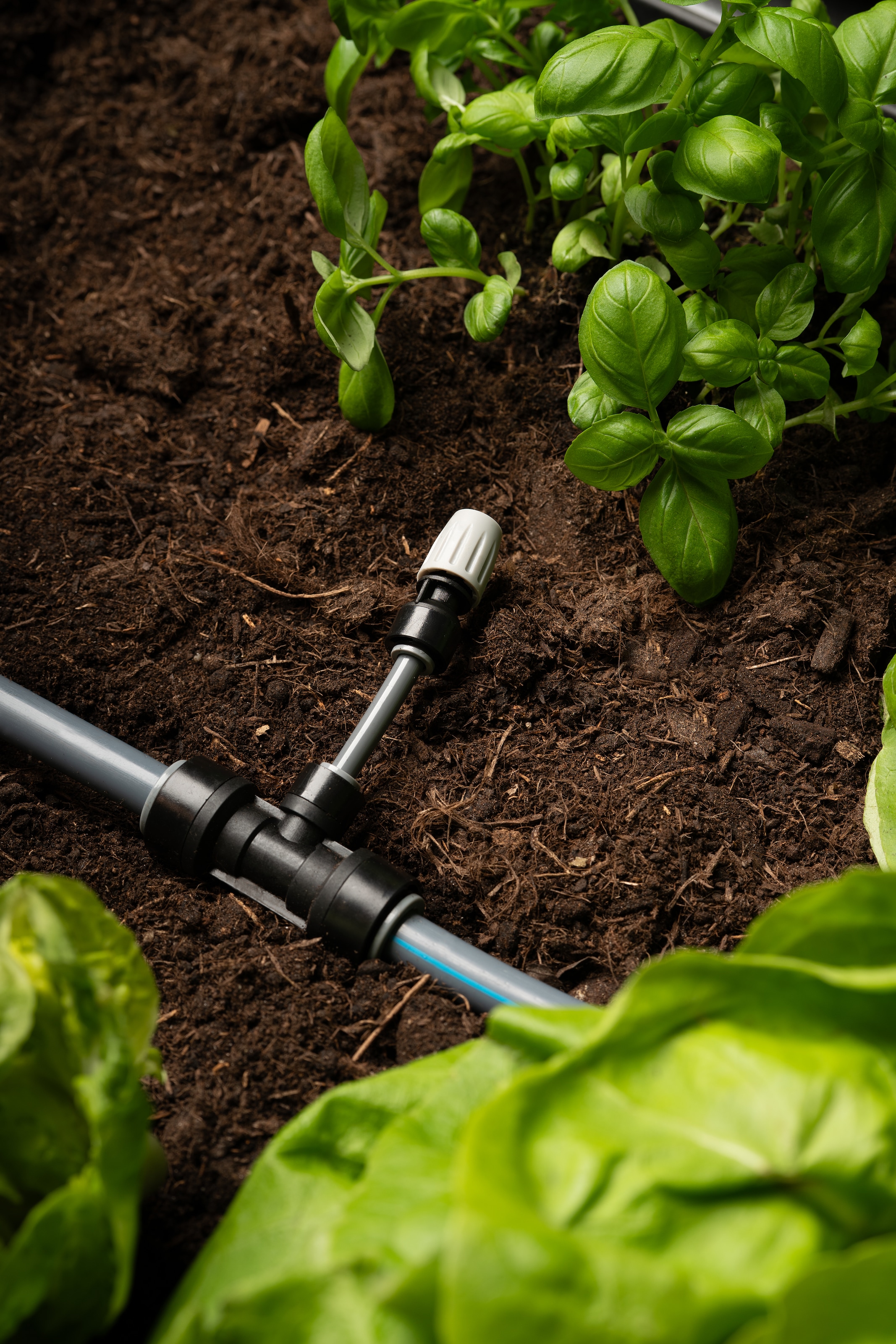 Biohort Bewässerungssystem »zu Hochbeet, Pflanzbeet Belvedere, Gewächshaus Florentina« ()  Effiziente Tropfbewässerung für gesundes Pflanzenwachstum