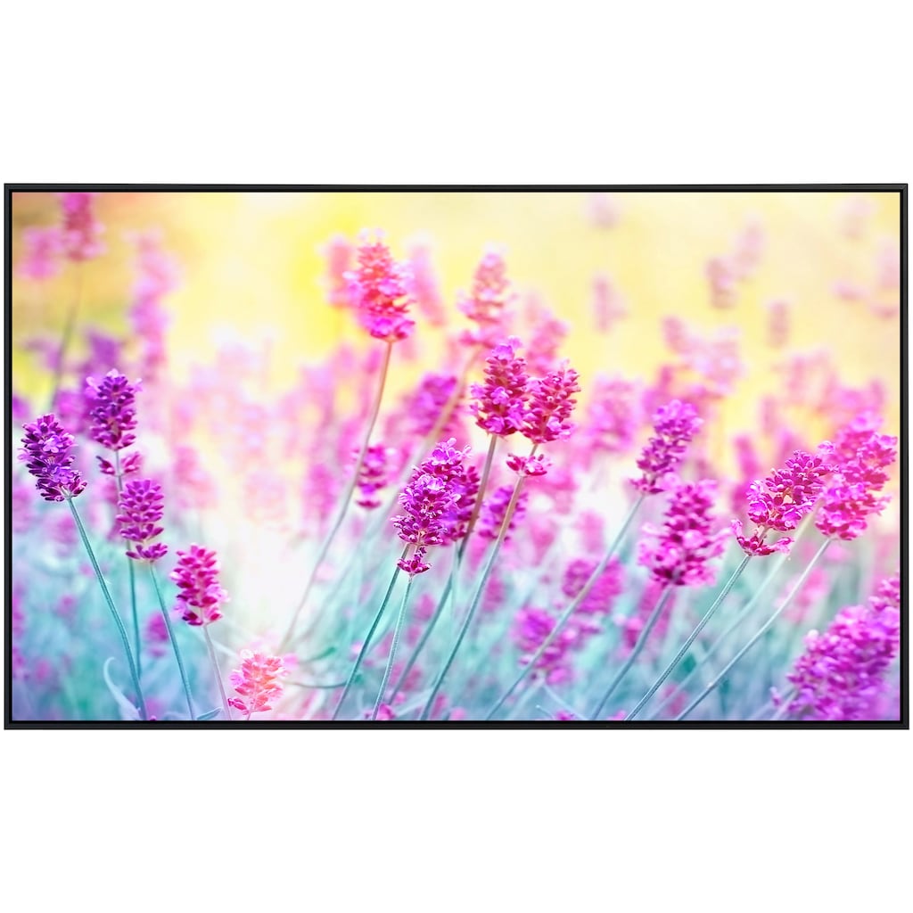 Papermoon Infrarotheizung »Lavendelblume«