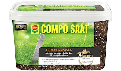 Rasensamen »COMPO SAAT®«