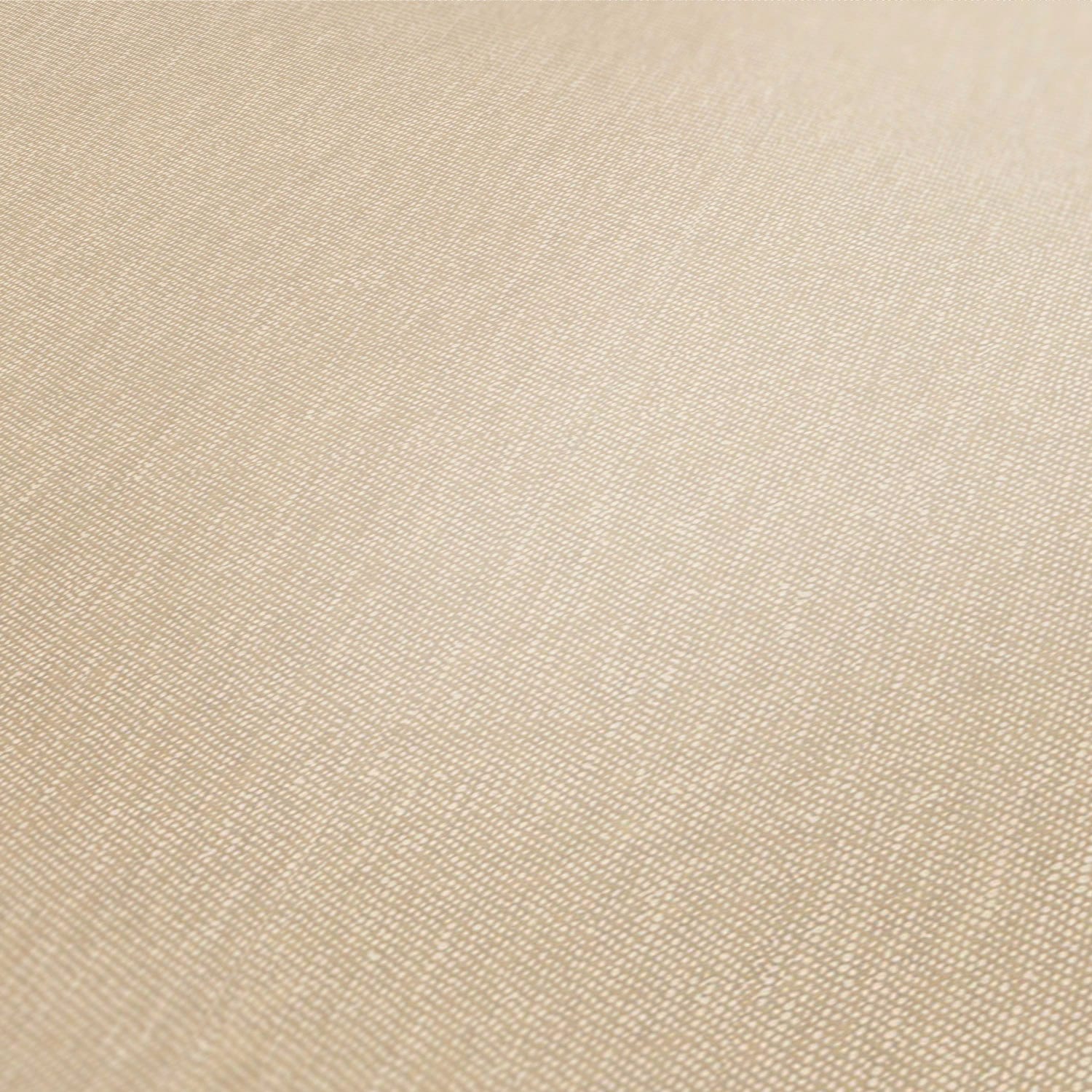 A.S. Création Vliestapete »Terra Tapete Einfarbig« matt strukturiert Uni-Tapete Greige Strukturiert