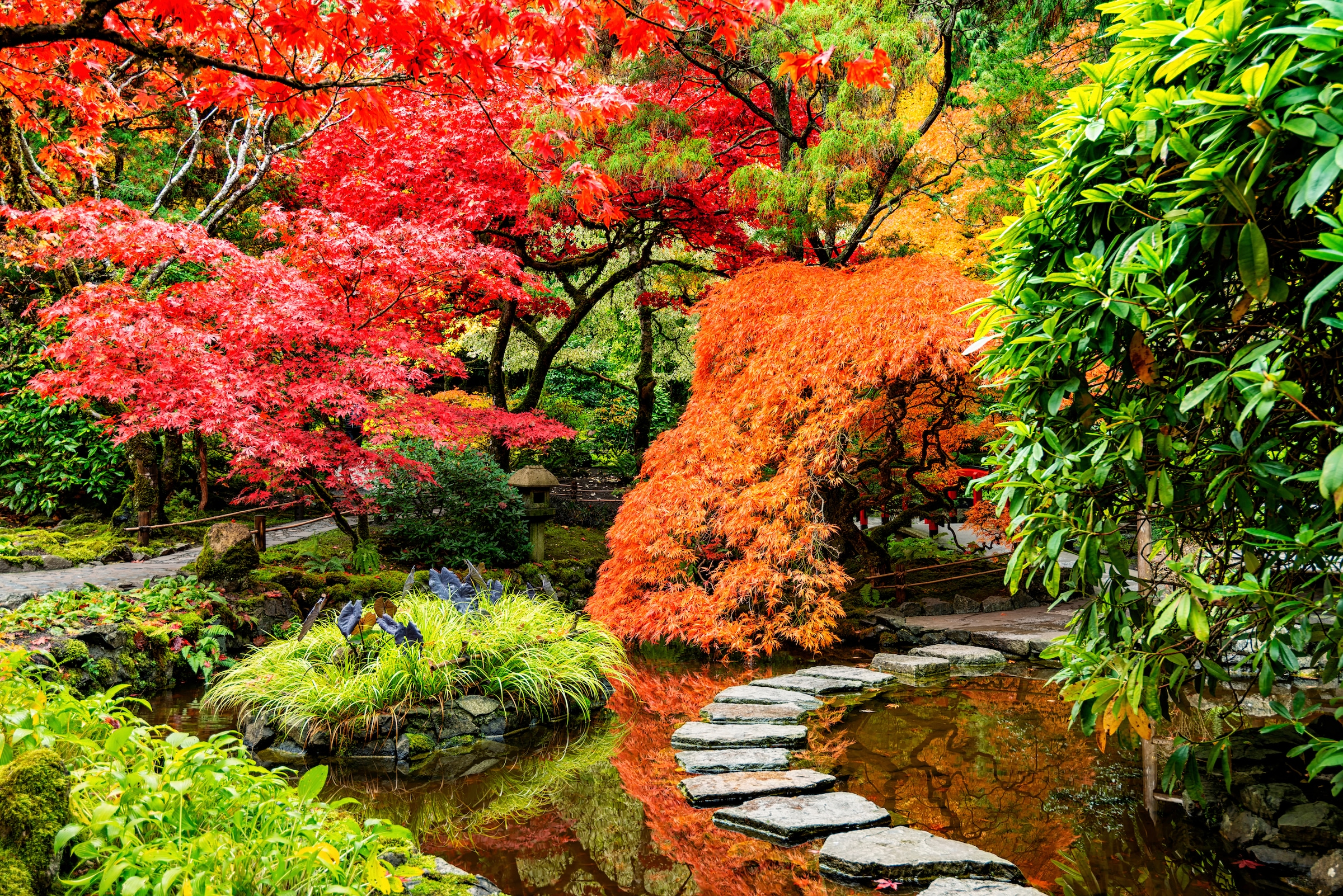 Papermoon Fototapete »JAPANISCHER GARTEN-BLUMEN BÄUME SEE NATUR HERBST WALD günstig online kaufen