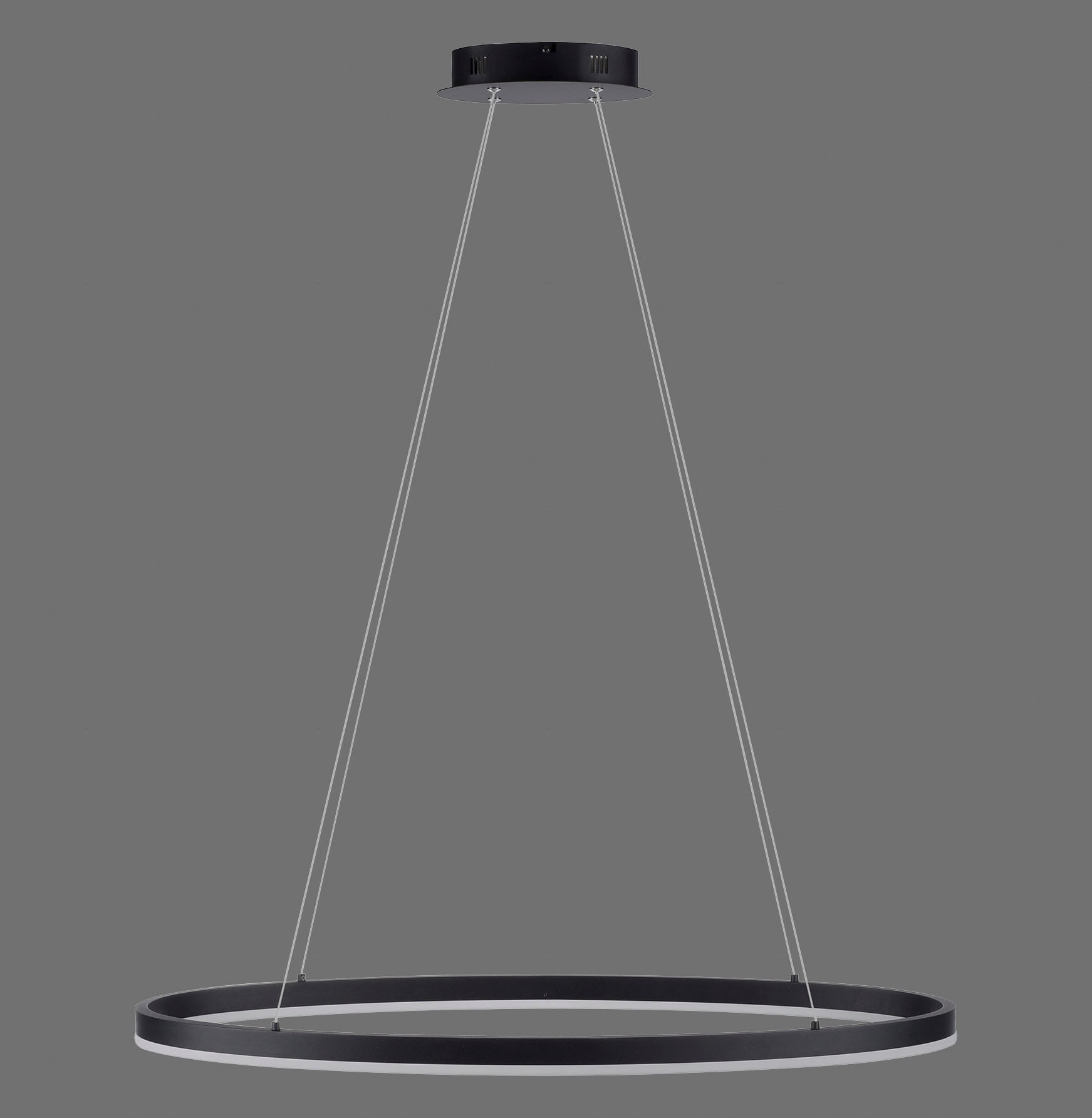 Paul Neuhaus »TITUS«, Dim LED, bestellen 1 flammig-flammig, Simply Pendelleuchte online