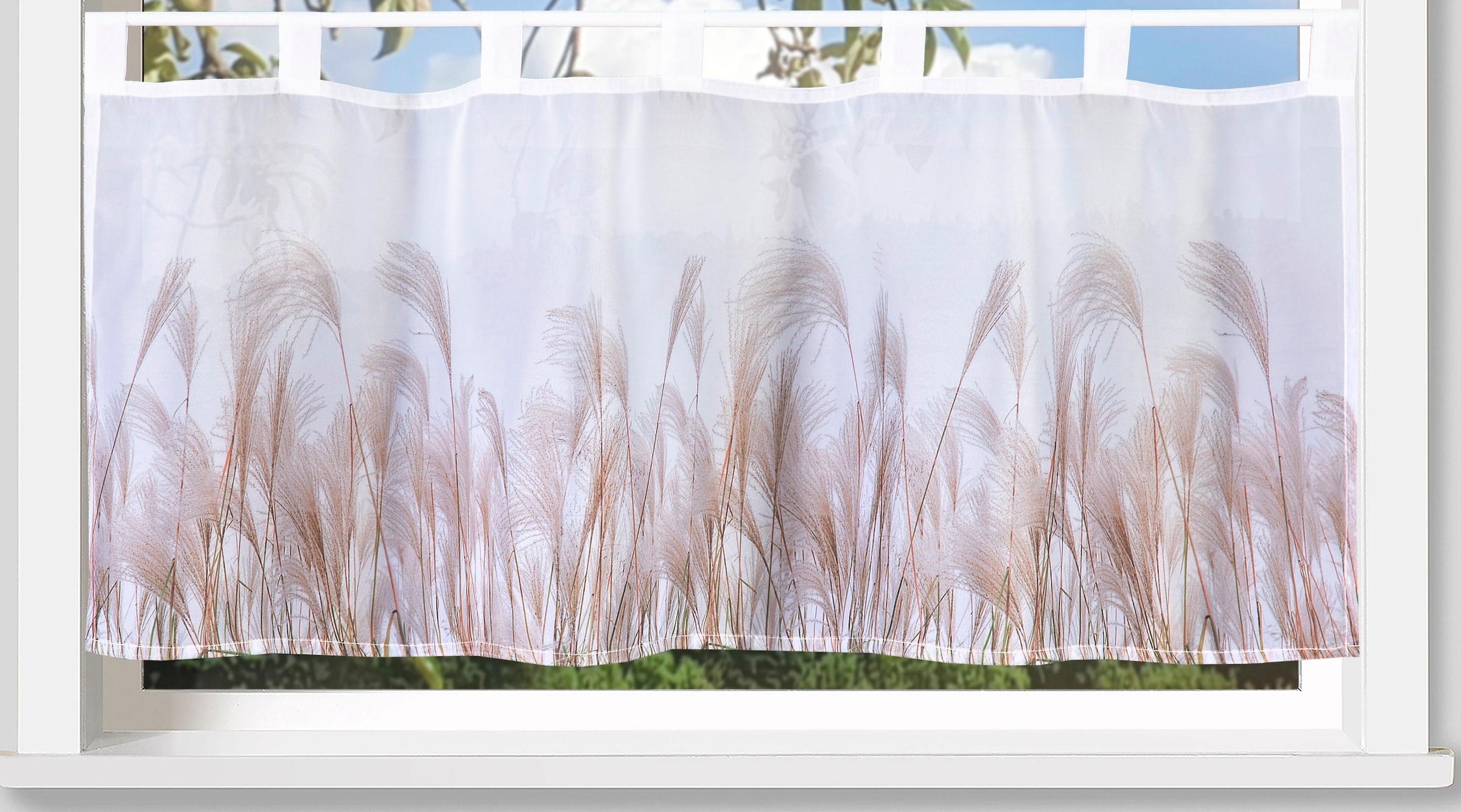Weckbrodt Scheibengardine »Pampasgras«, (1 St.), Bistro, Voile, bedruckt, floral, HxB 45x120cm, Gardine, Store