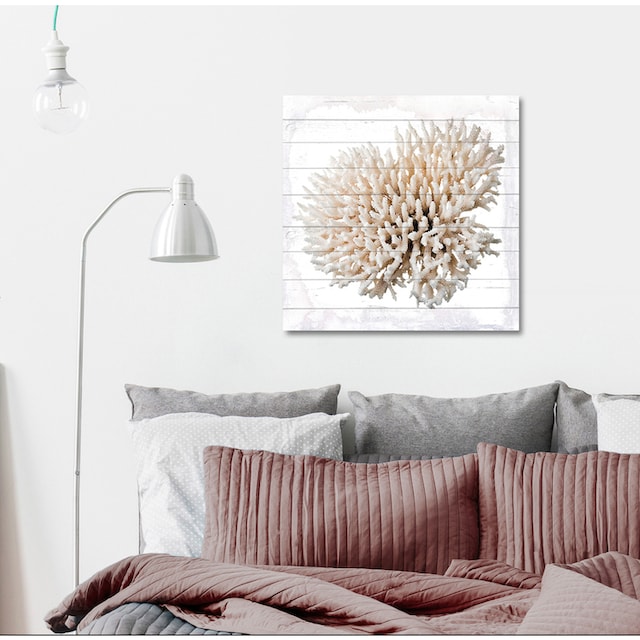 queence Holzbild »Weiße Koralle«, 50x50 cm auf Rechnung bestellen