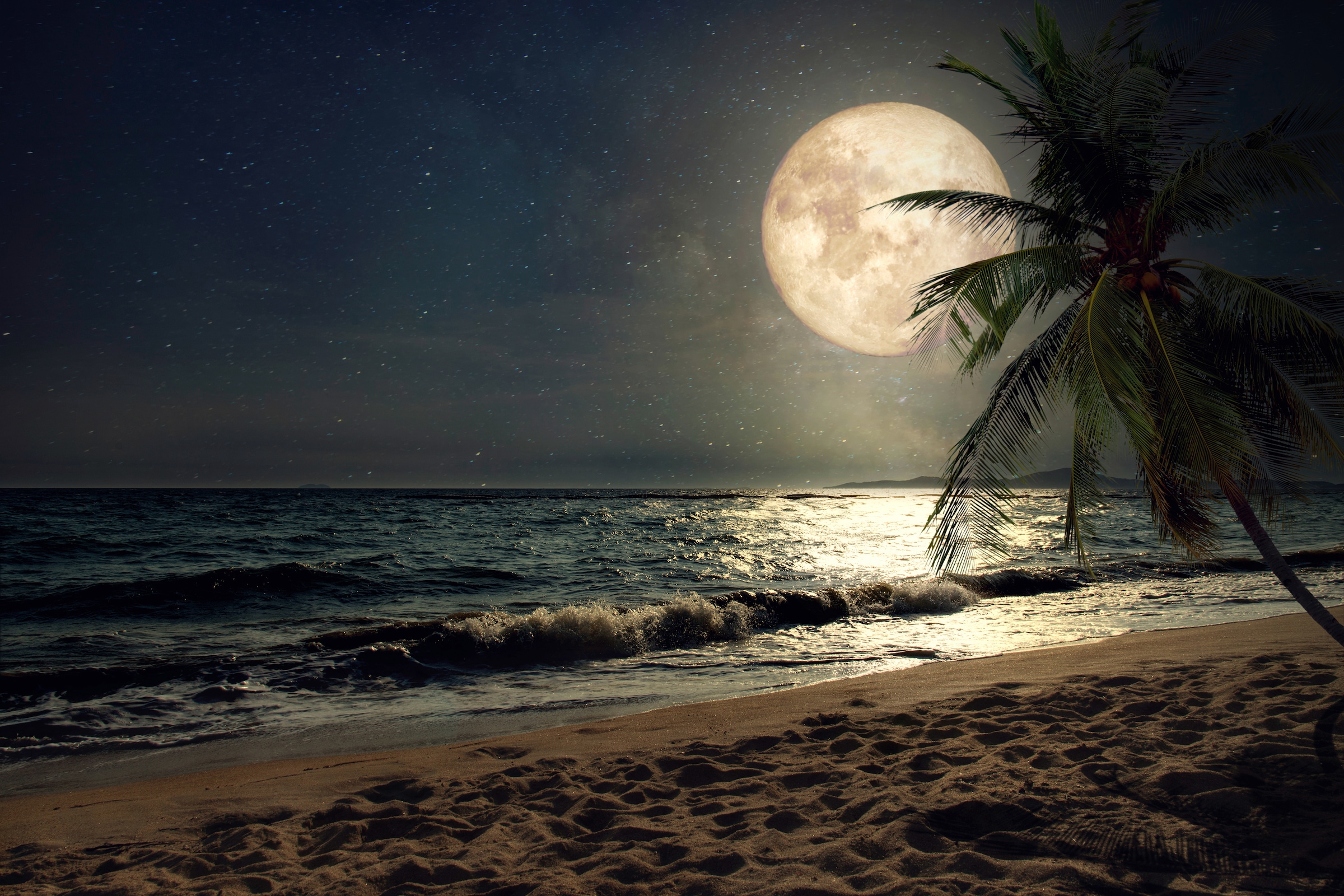 Papermoon Fototapete »STRAND-NATUR PALMEN MEER DÜNEN MOND PALME LANDSCHAFT« günstig online kaufen