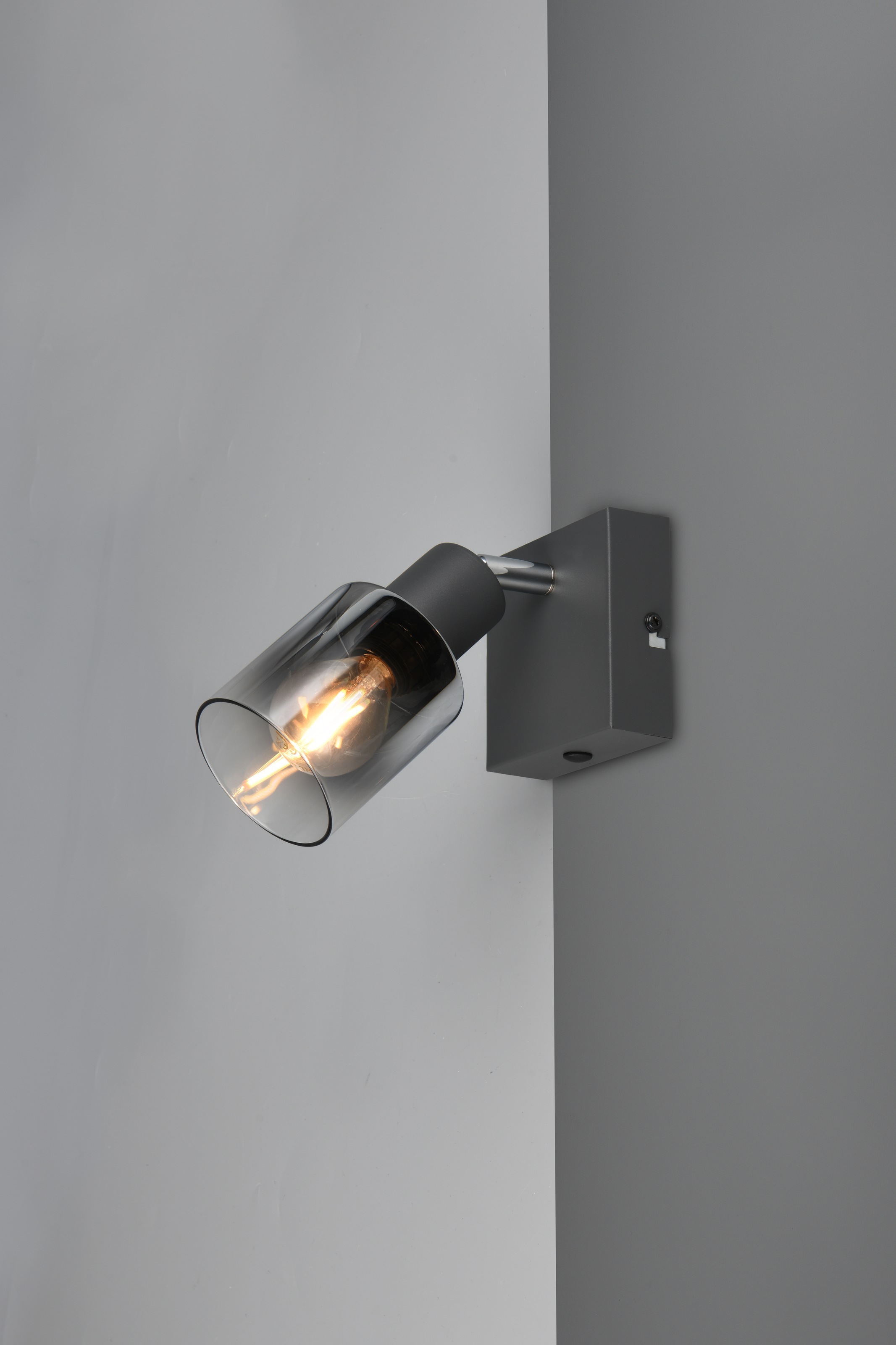 REALITY Leuchten Deckenstrahler »CADIZ, Spot 1-flammig, exkl 1xE14 max 10W, Glas anthrazit, verspiegelt«, 1 flammig, Leuchtmittel E14 | Leuchtmittel wechselbar, verstellbarer Spot als Wandstrahler oder Deckenstrahler mit Glasschirm