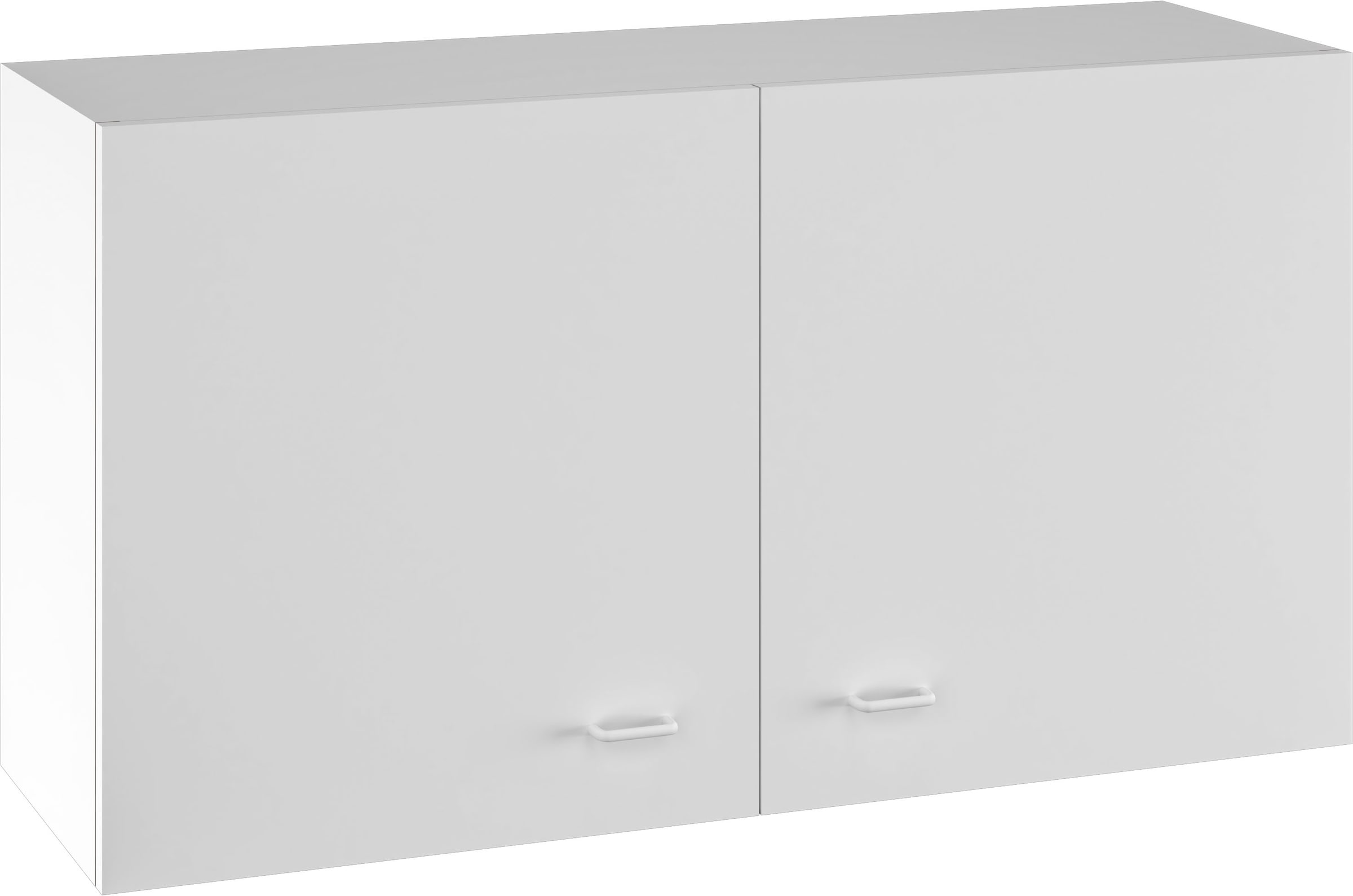Flex-Well Hängeschrank »Sellin« 1 Stk. tlg. (B x H x T) 100 x 54,8 x 32 cm