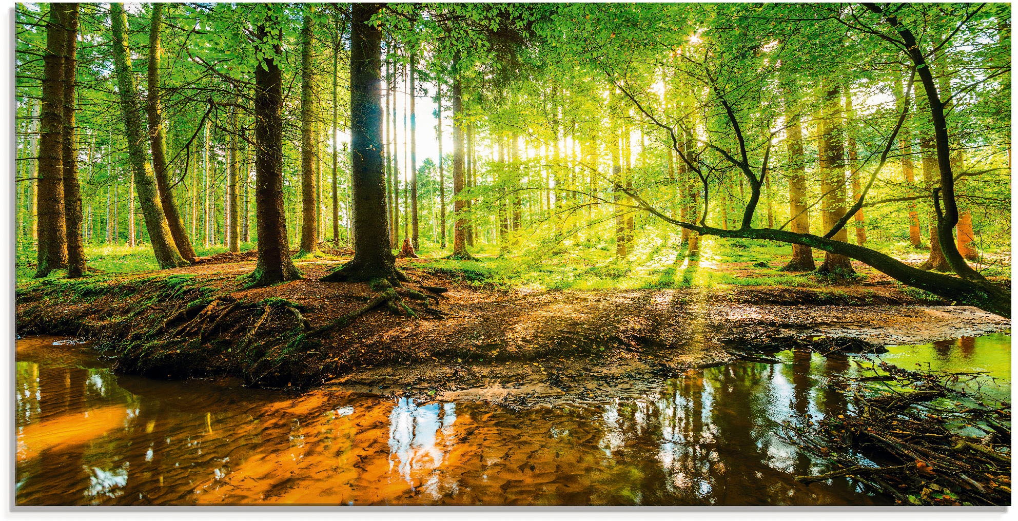 Artland Glasbild "Wald mit Bach", Wald, (1 St.), in verschiedenen Größen günstig online kaufen