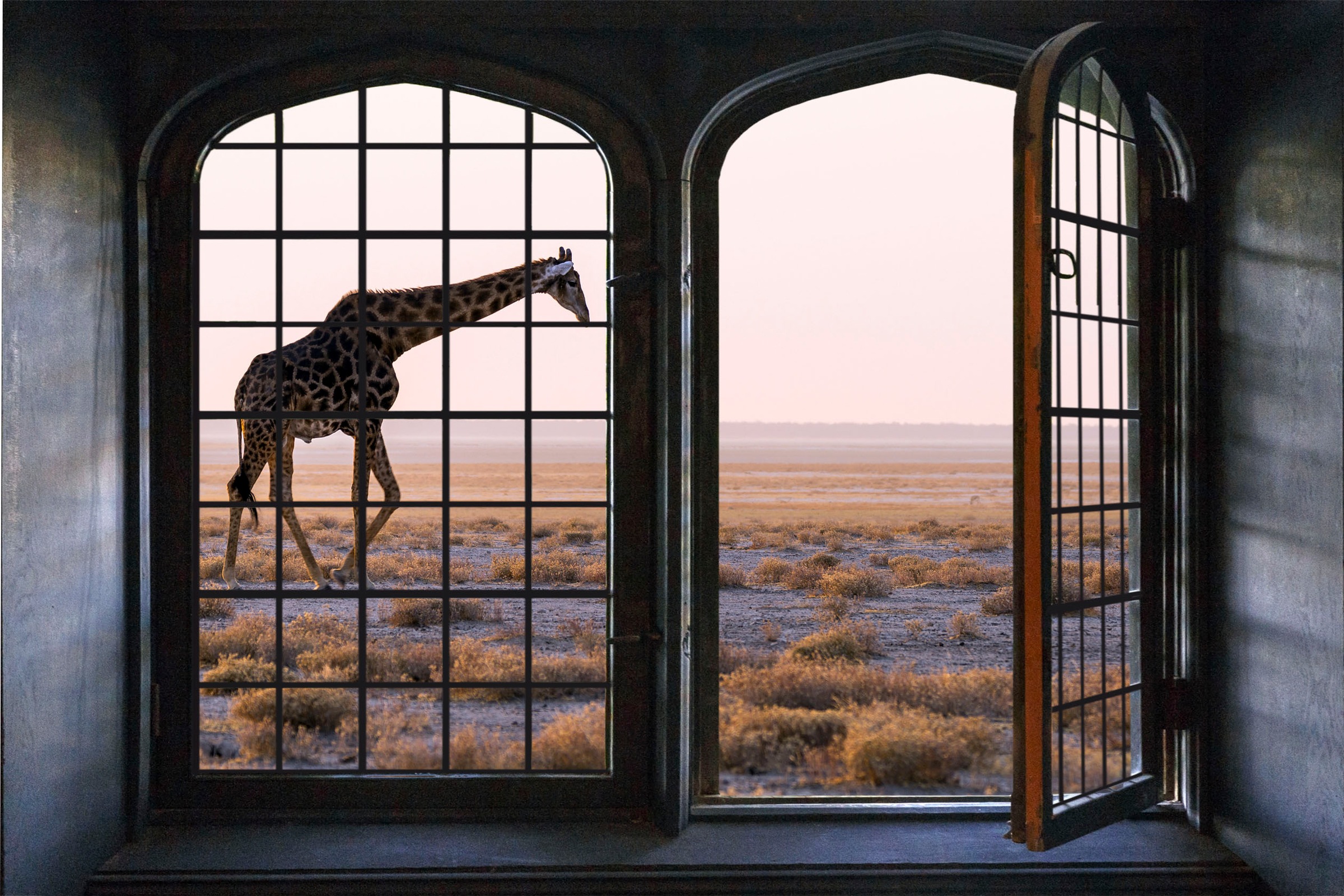 queence Wandsticker »Giraffe« Wandsticker, Wandbild, selbstklebend, 3D, Fen günstig online kaufen