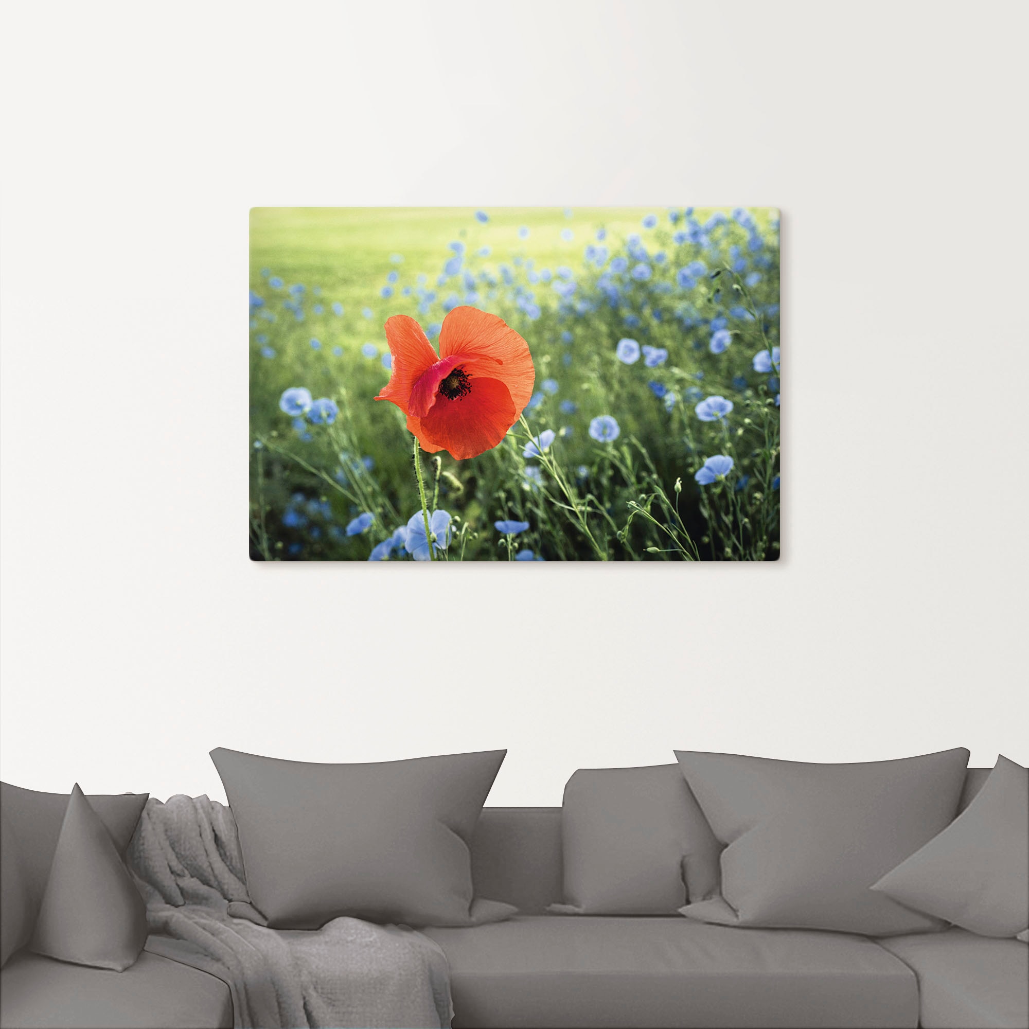 Blumenbilder, bestellen Leinwandbild, versch. Artland »Mohnblüte Poster St.), als Größen III«, Wandbild Alubild, in online Wandaufkleber (1 oder