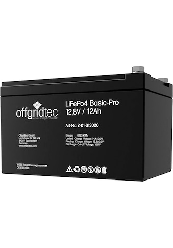 Akku »LiFePo4 Basic-Pro 12,8V/12Ah/128Wh«, 154 mAh, 12 V