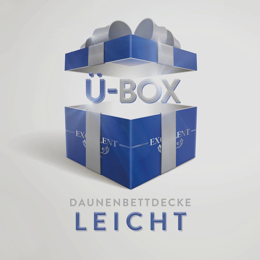 Excellent Daunenbettdecke »Überraschungsbox«, leicht, Füllung 90% Daunen, 1 günstig online kaufen