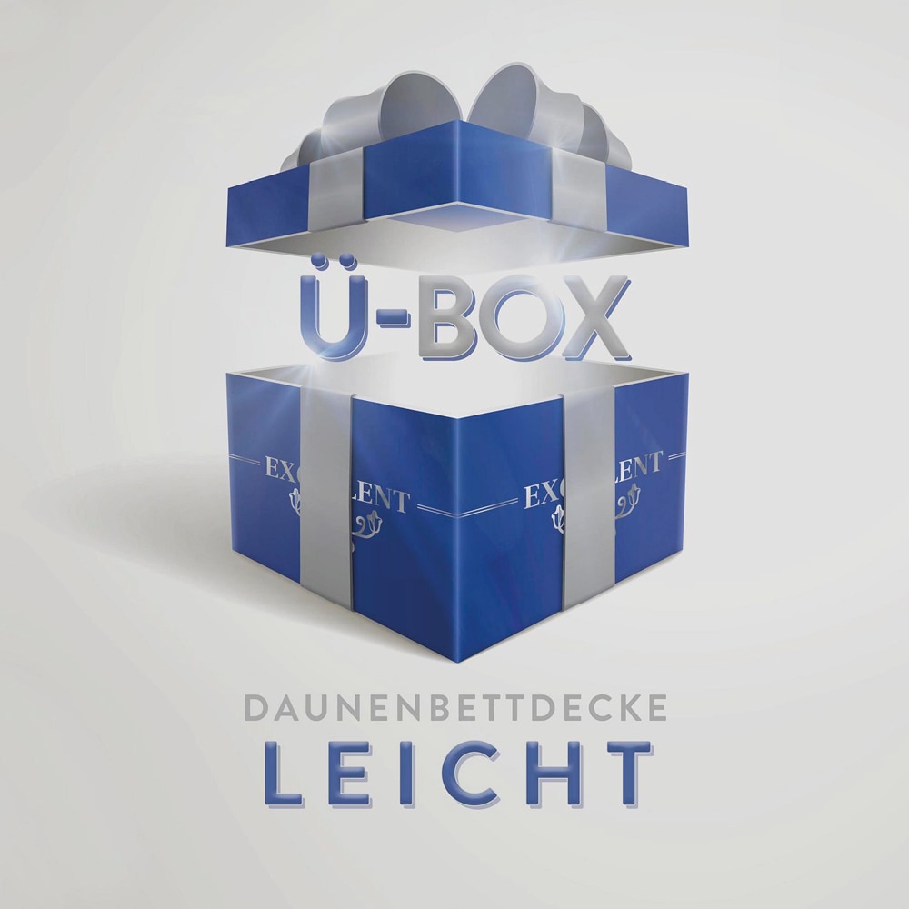 Excellent Daunenbettdecke »Überraschungsbox«, leicht, Füllung 90% Daunen, 1 günstig online kaufen
