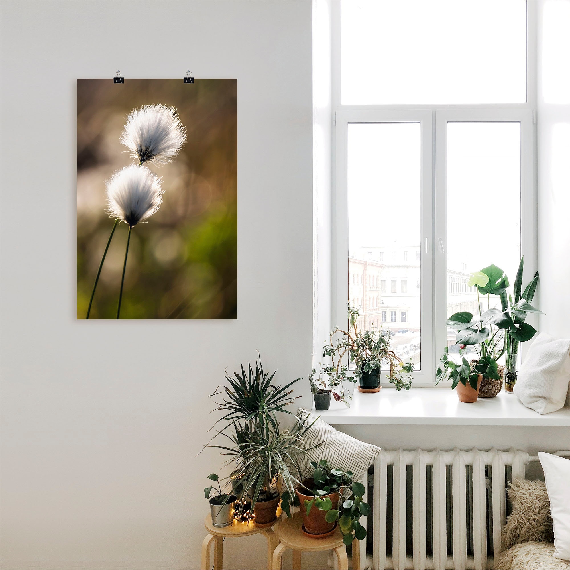 Artland Wandbild »Wollgras I«, Gräser, (1 St.), als Alubild, Outdoorbild, Leinwandbild, Poster in verschied. Größen