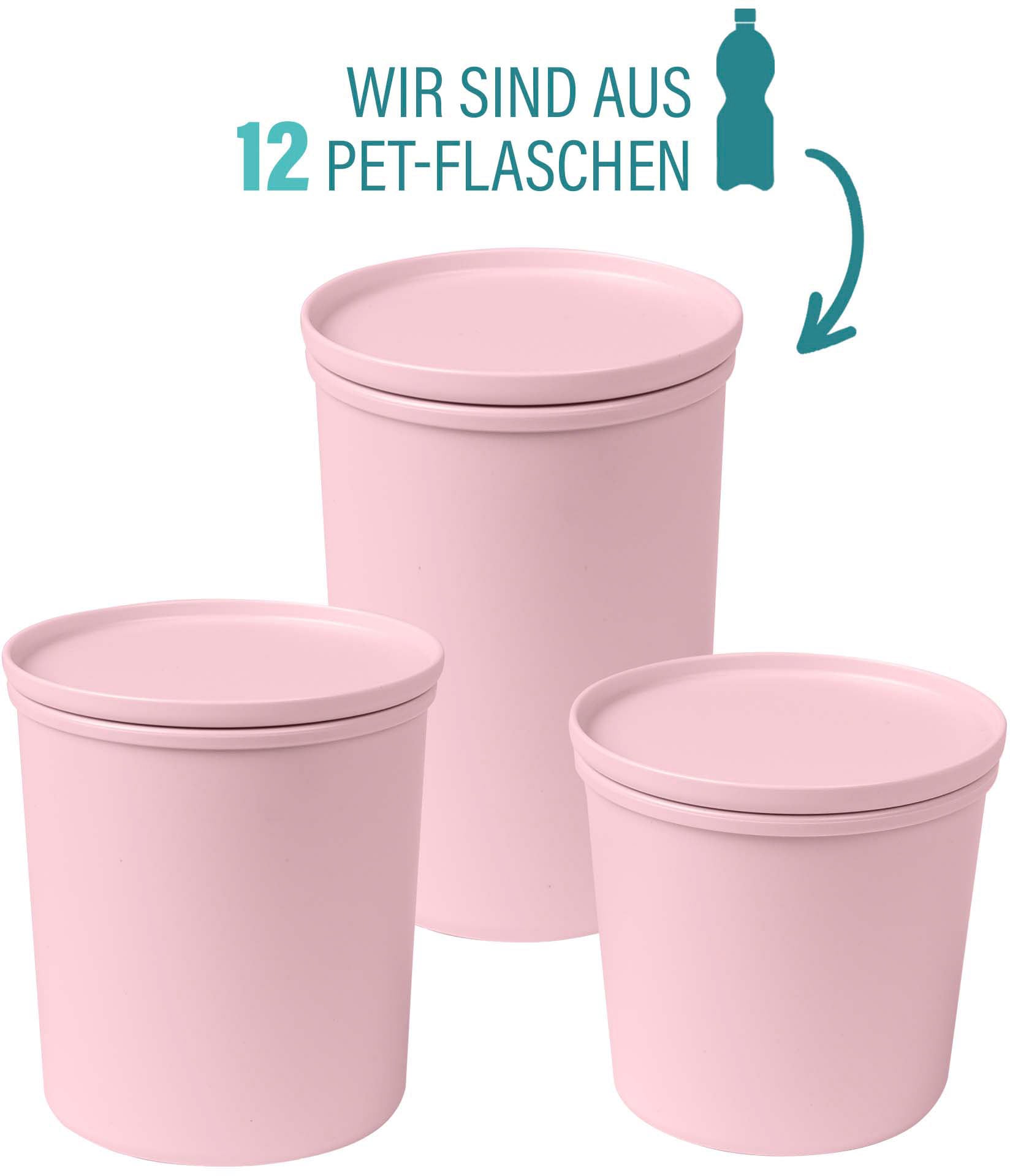 AWAVE® Frischhaltedose »AWAVE«, (Set, 3 tlg.), mit rPET, 500, 800, 1000 ml günstig online kaufen